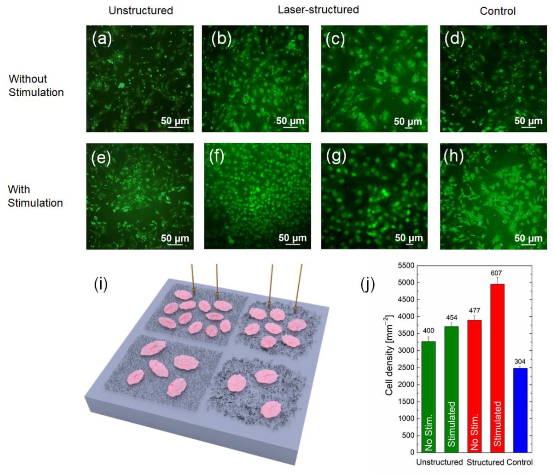 Polymers 14 01866 g007
