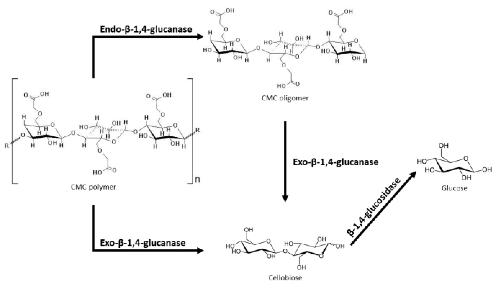Polymers 14 01871 g002