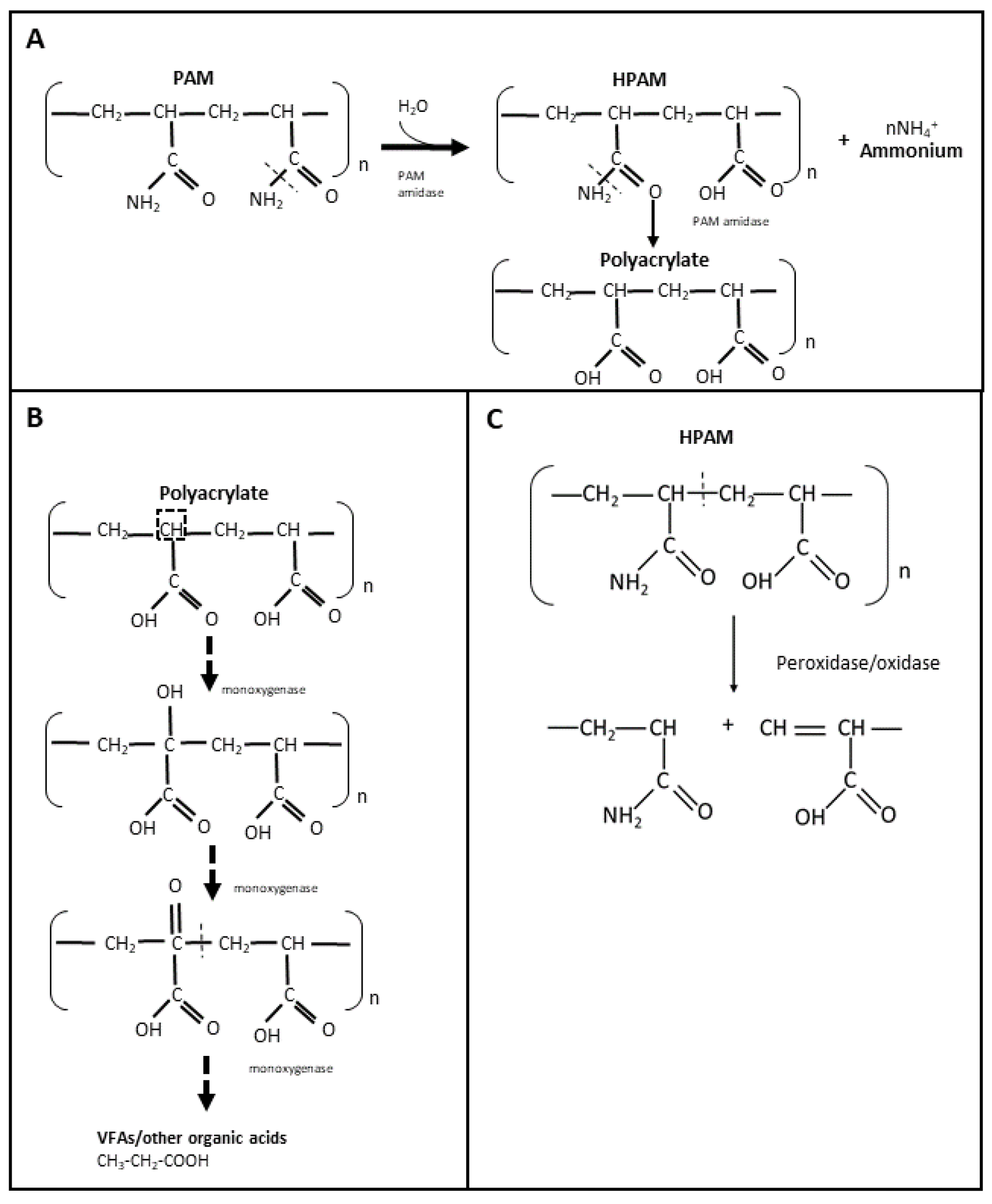 Polymers 14 01871 g003