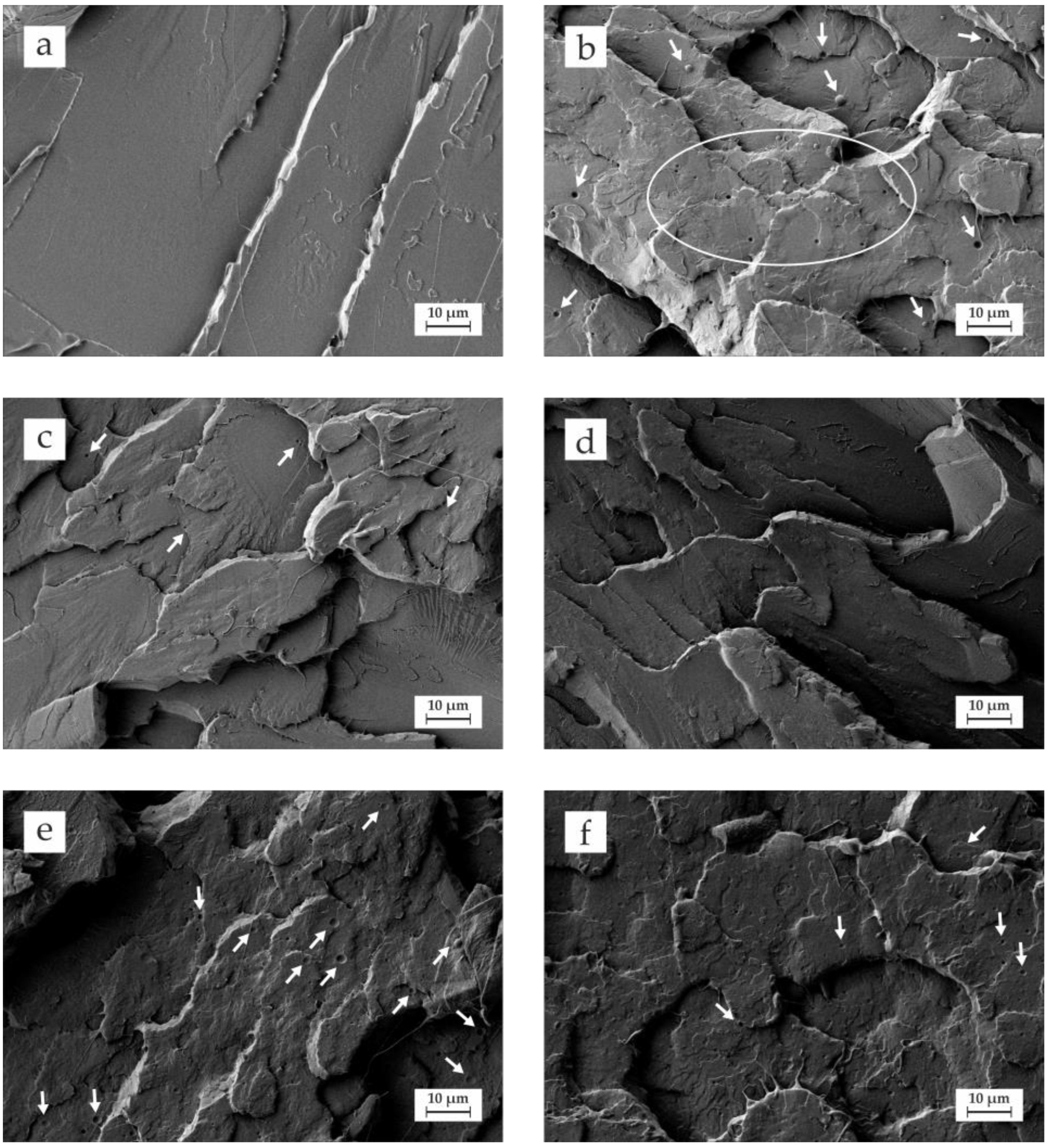 Polymers 14 01874 g003