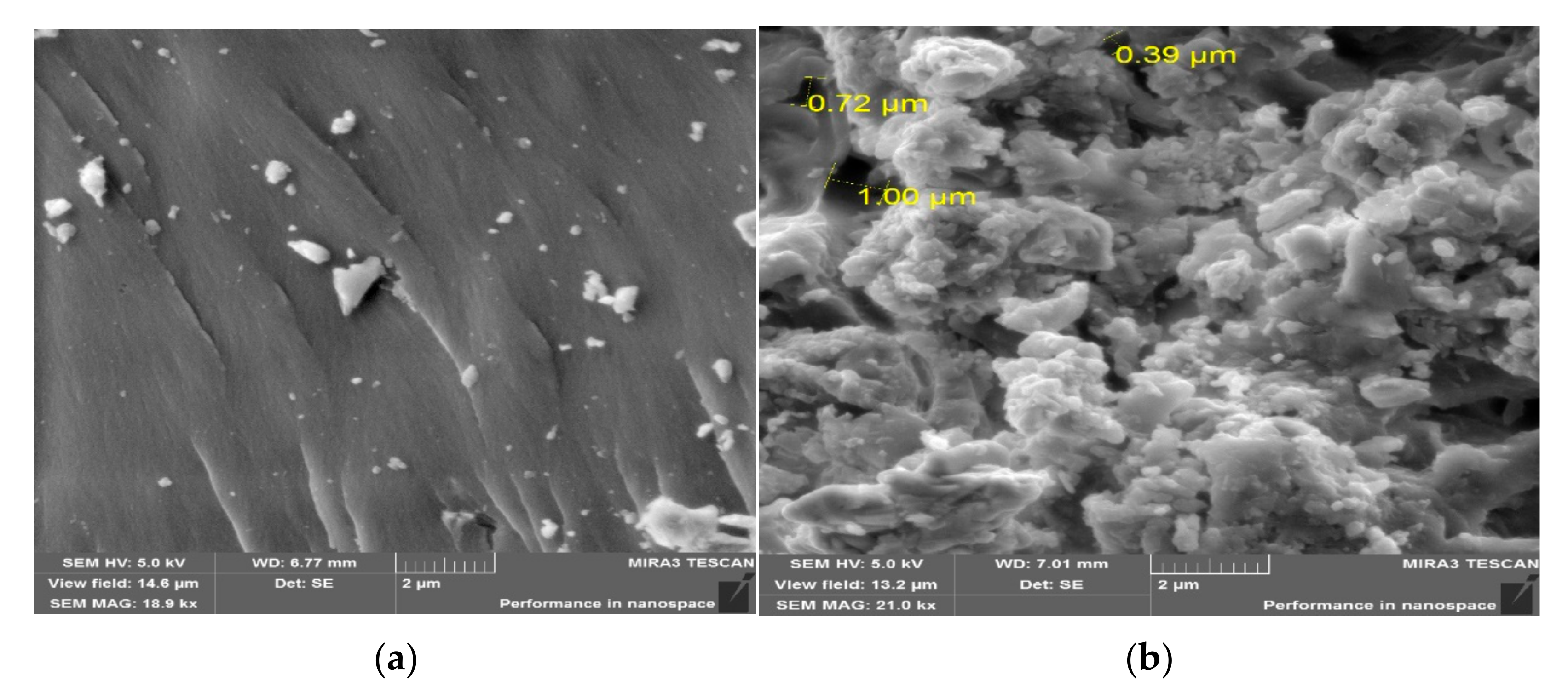 Polymers 14 01884 g004