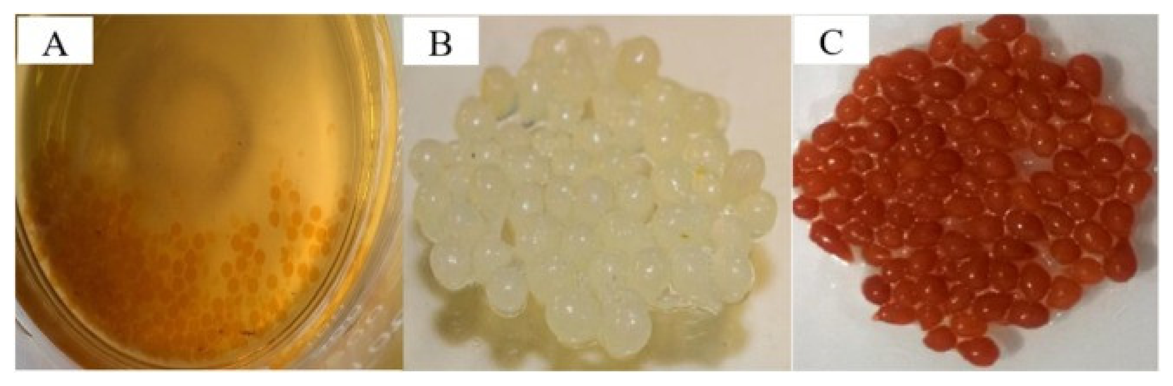 Polymers 14 01890 g017 Polymers 14 01890 g017