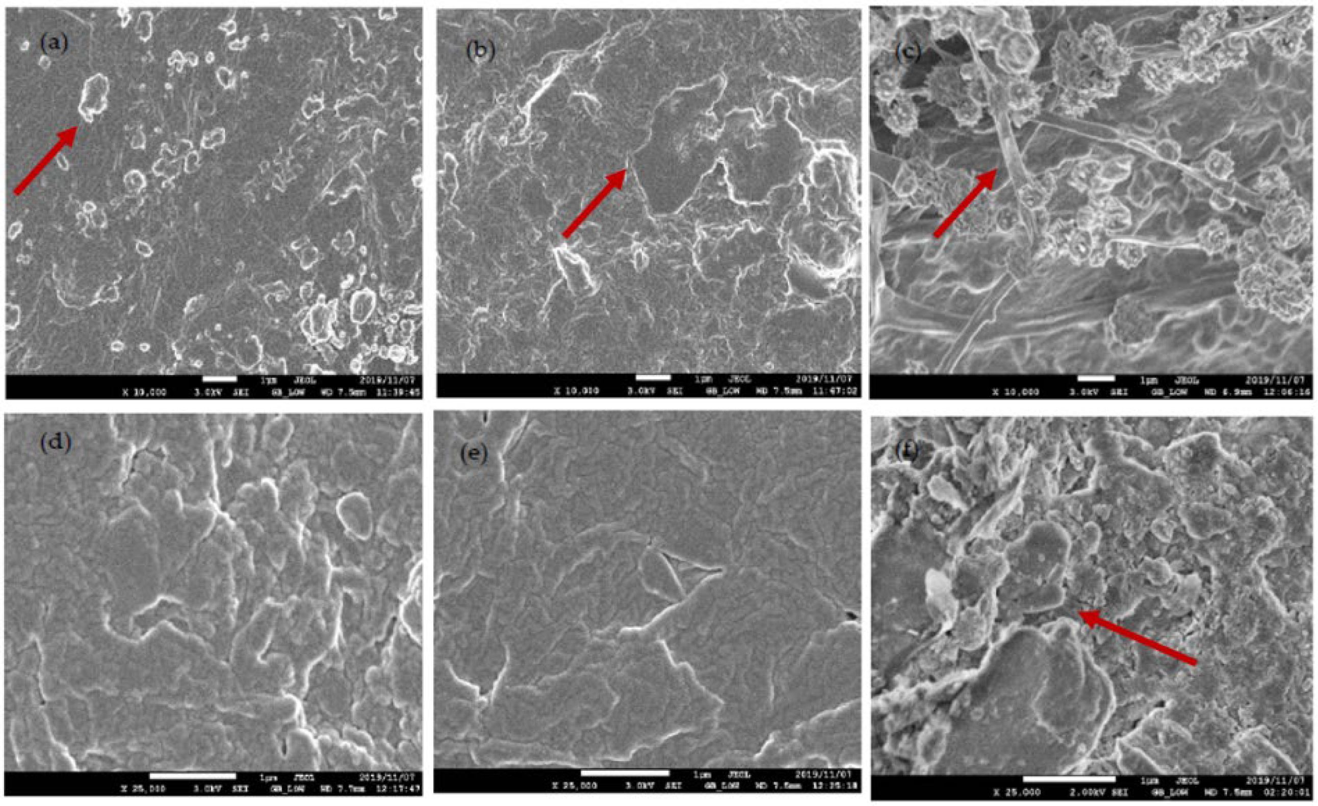 Polymers 14 01894 g006