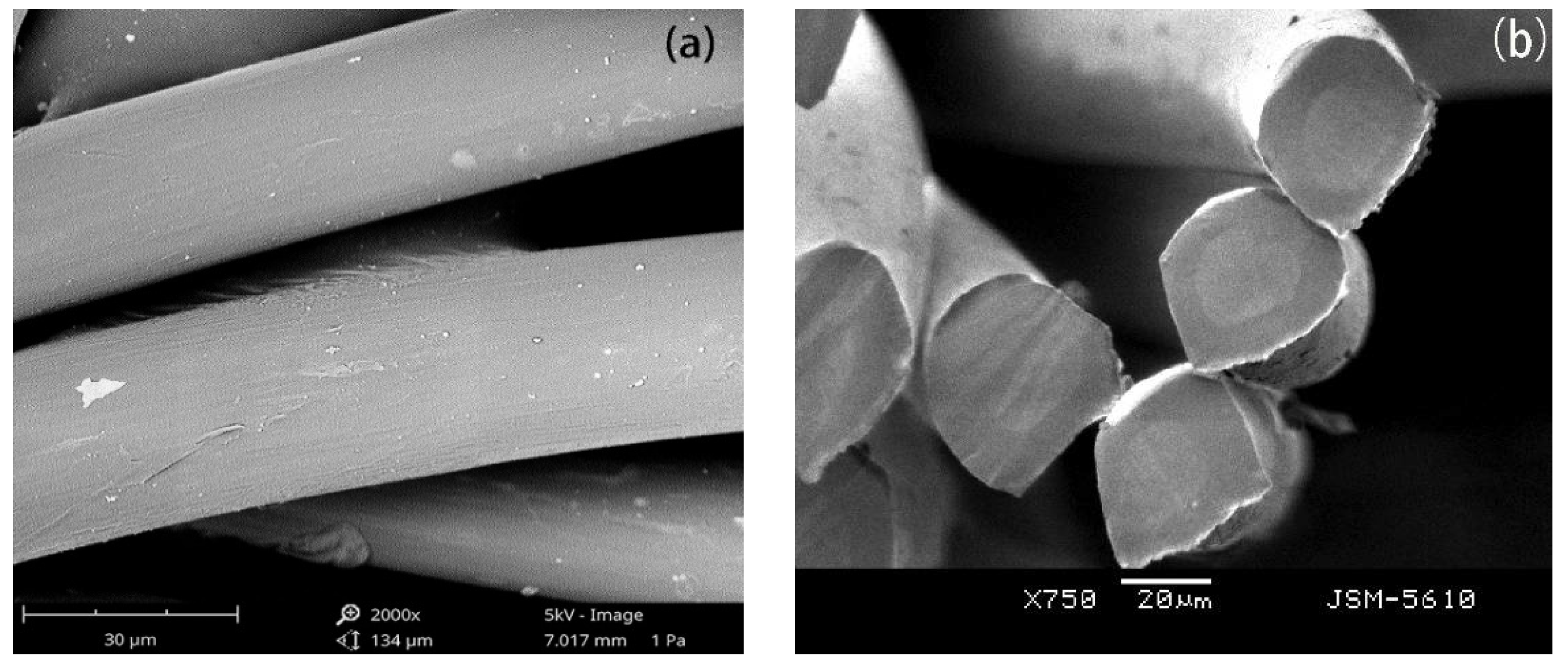 Polymers 14 01895 g002