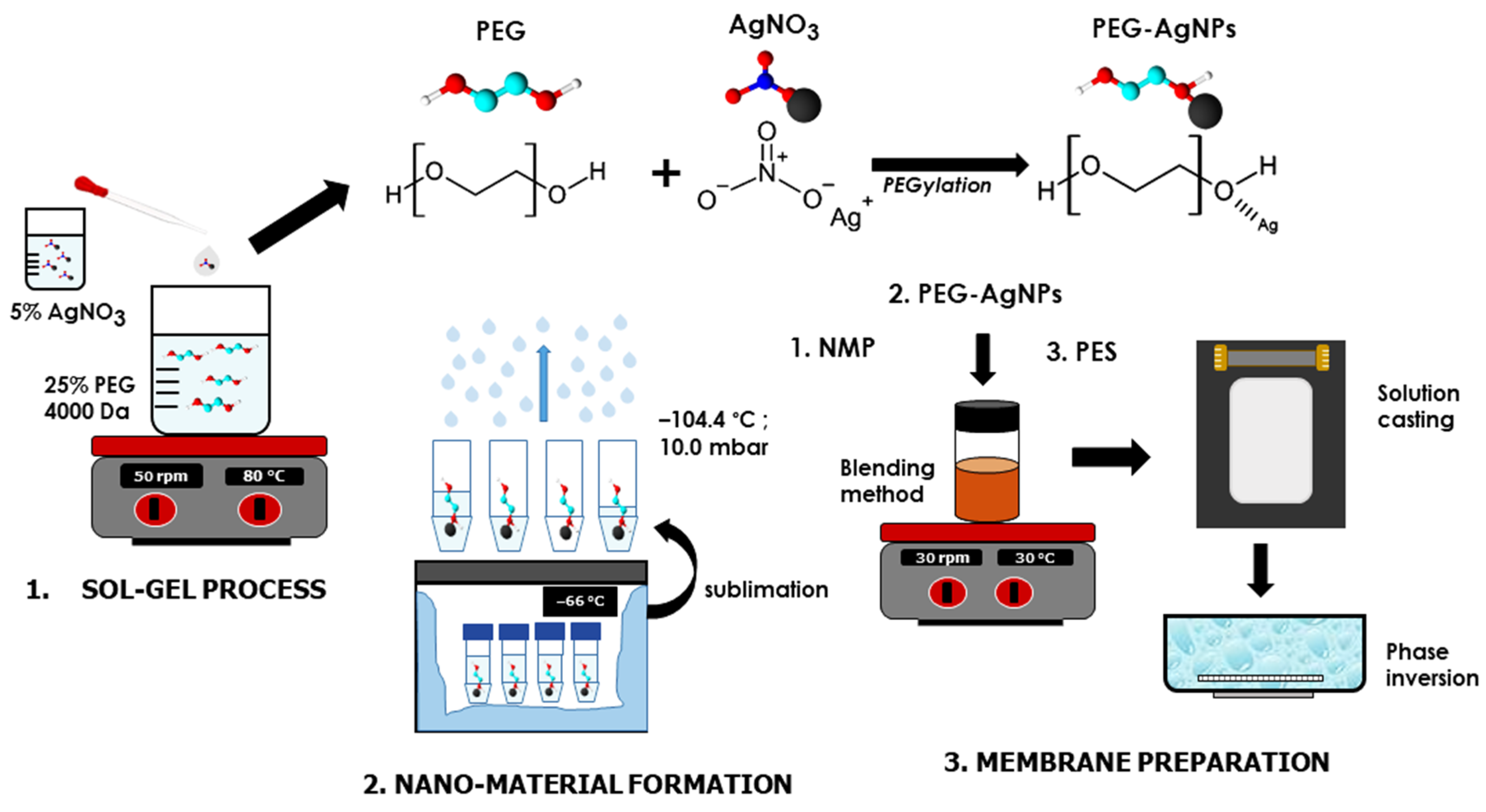 Polymers 14 01908 g001