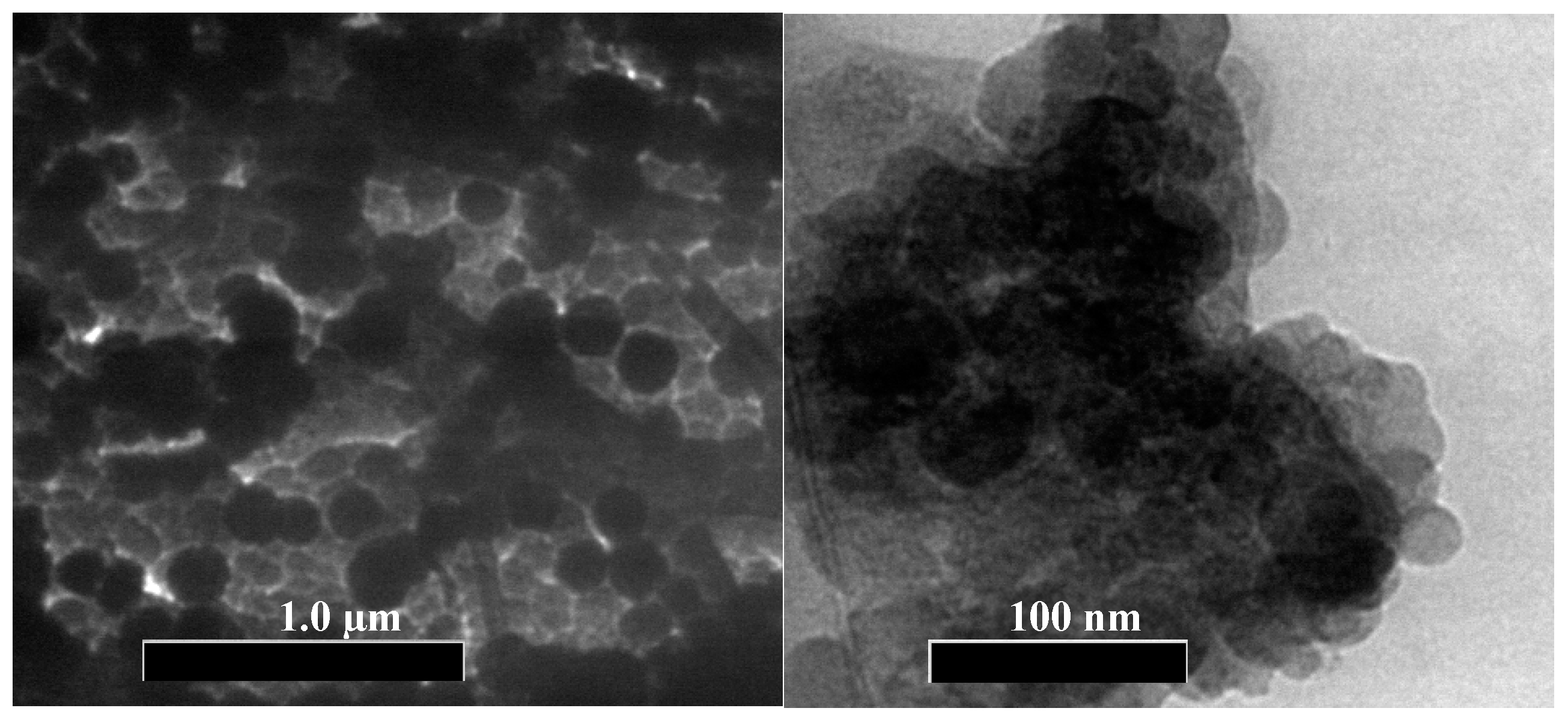 Polymers 14 01908 g002