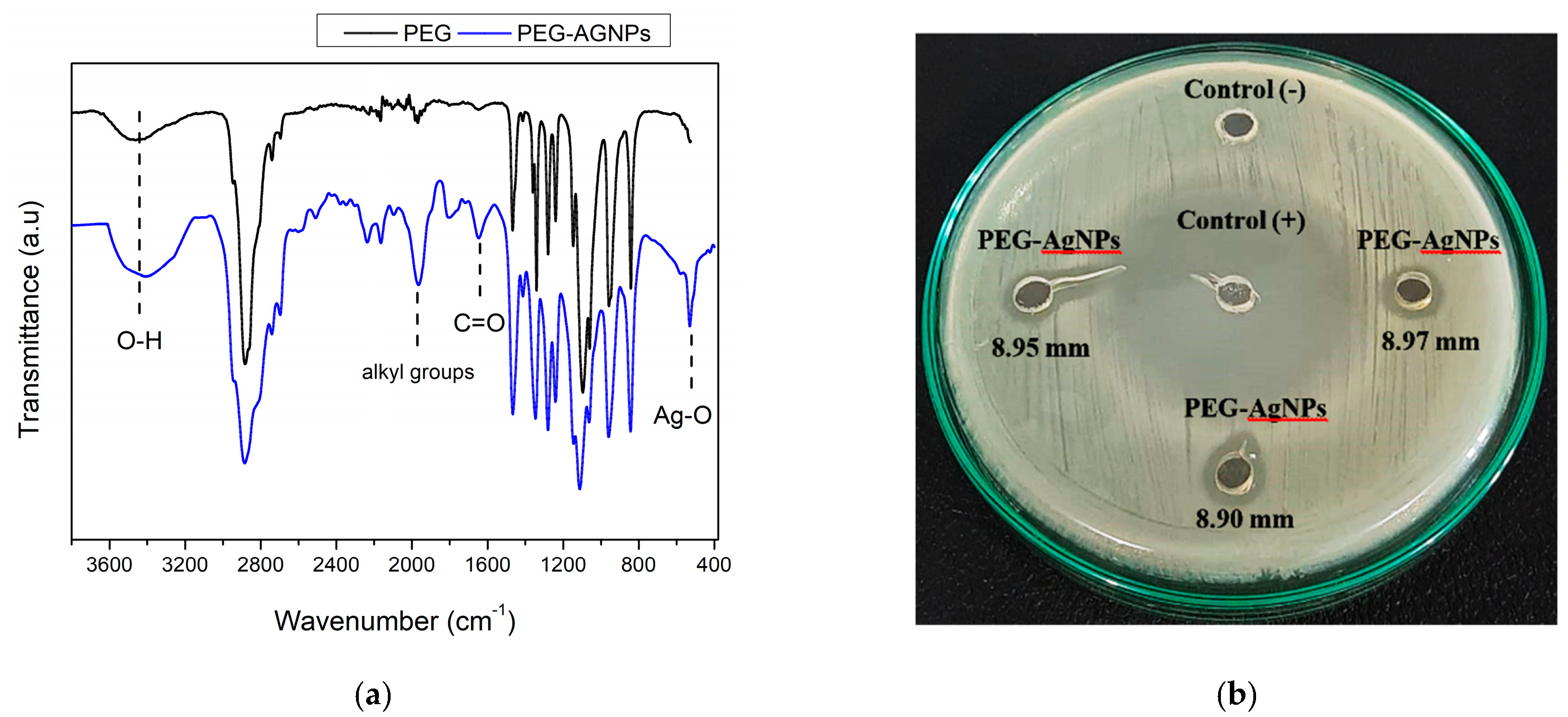 Polymers 14 01908 g003