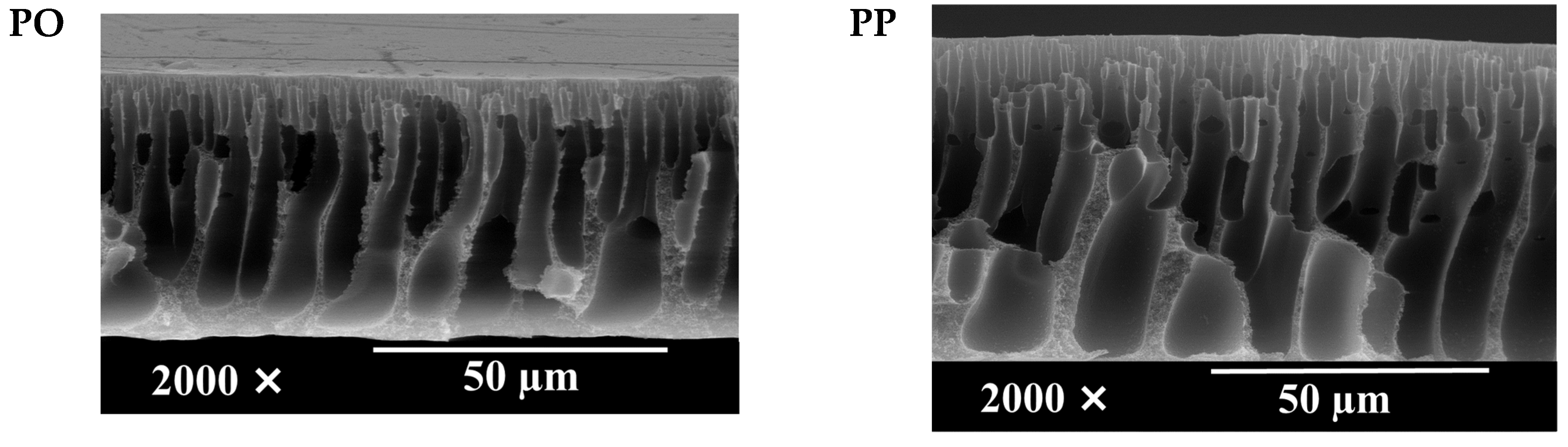 Polymers 14 01908 g006a