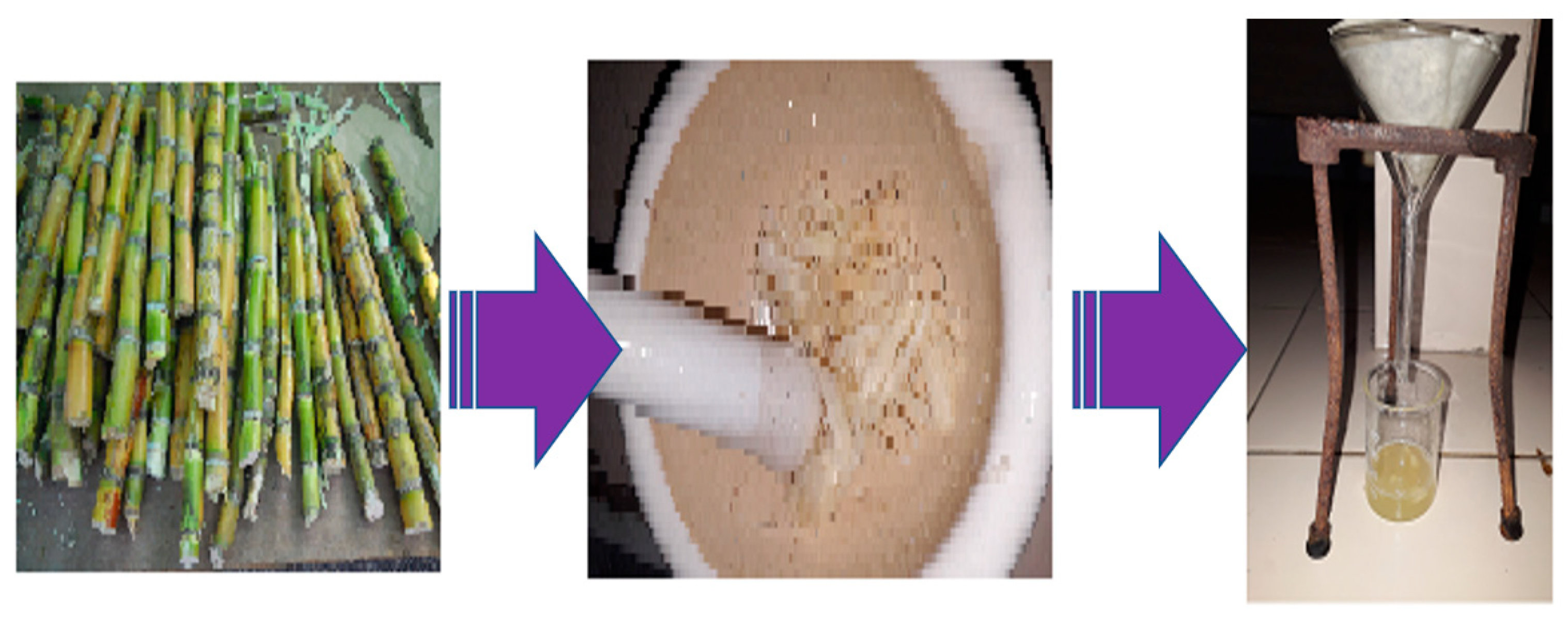 Polymers 14 01911 g001