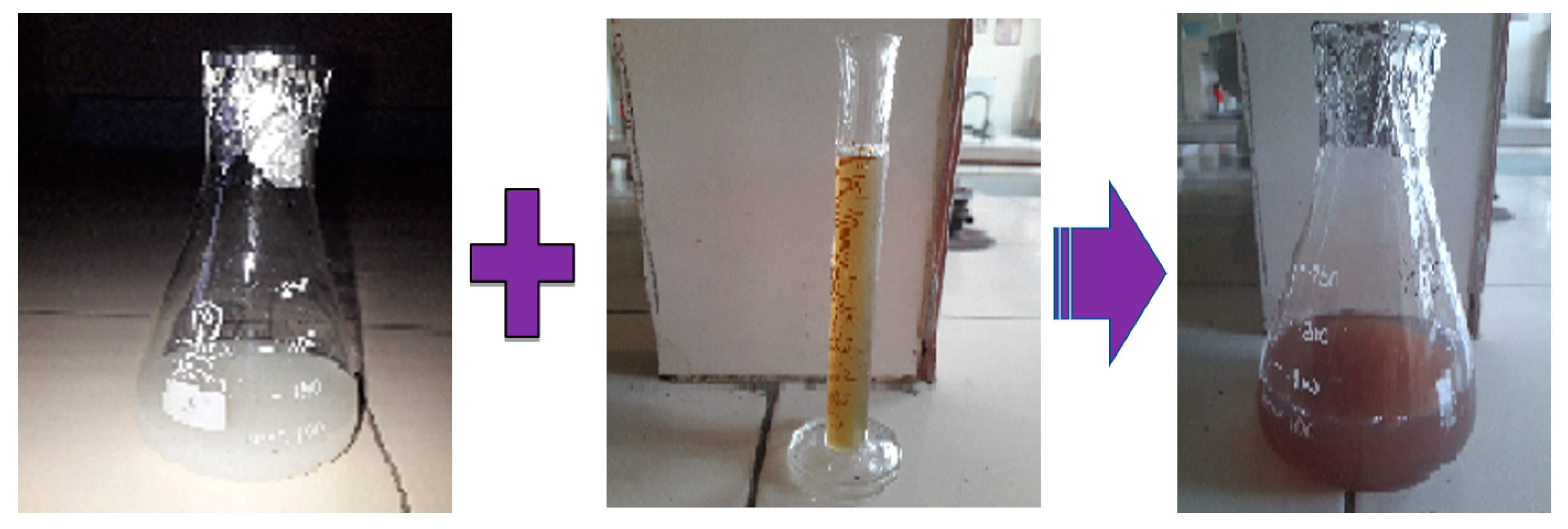 Polymers 14 01911 g002