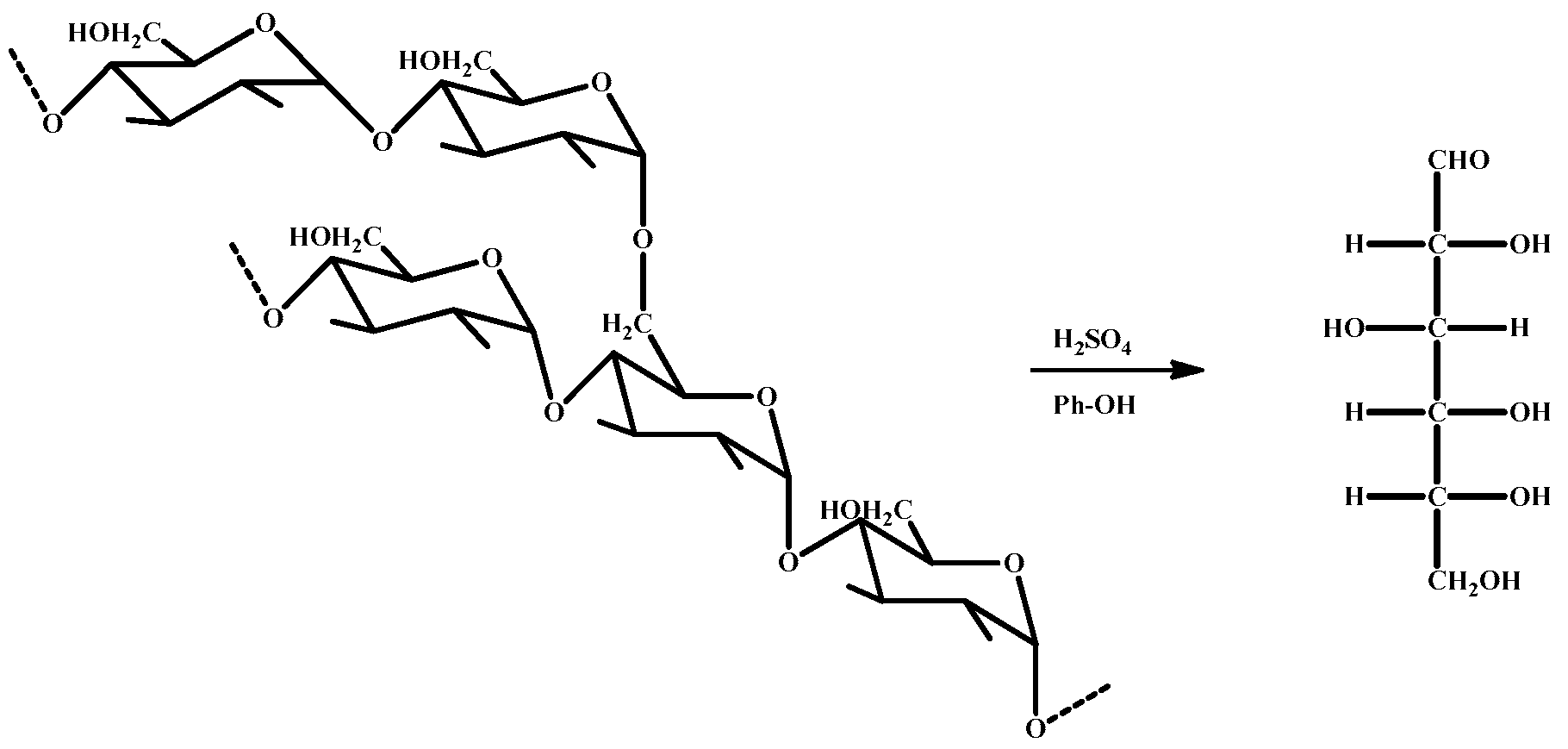 Polymers 14 01914 g003a