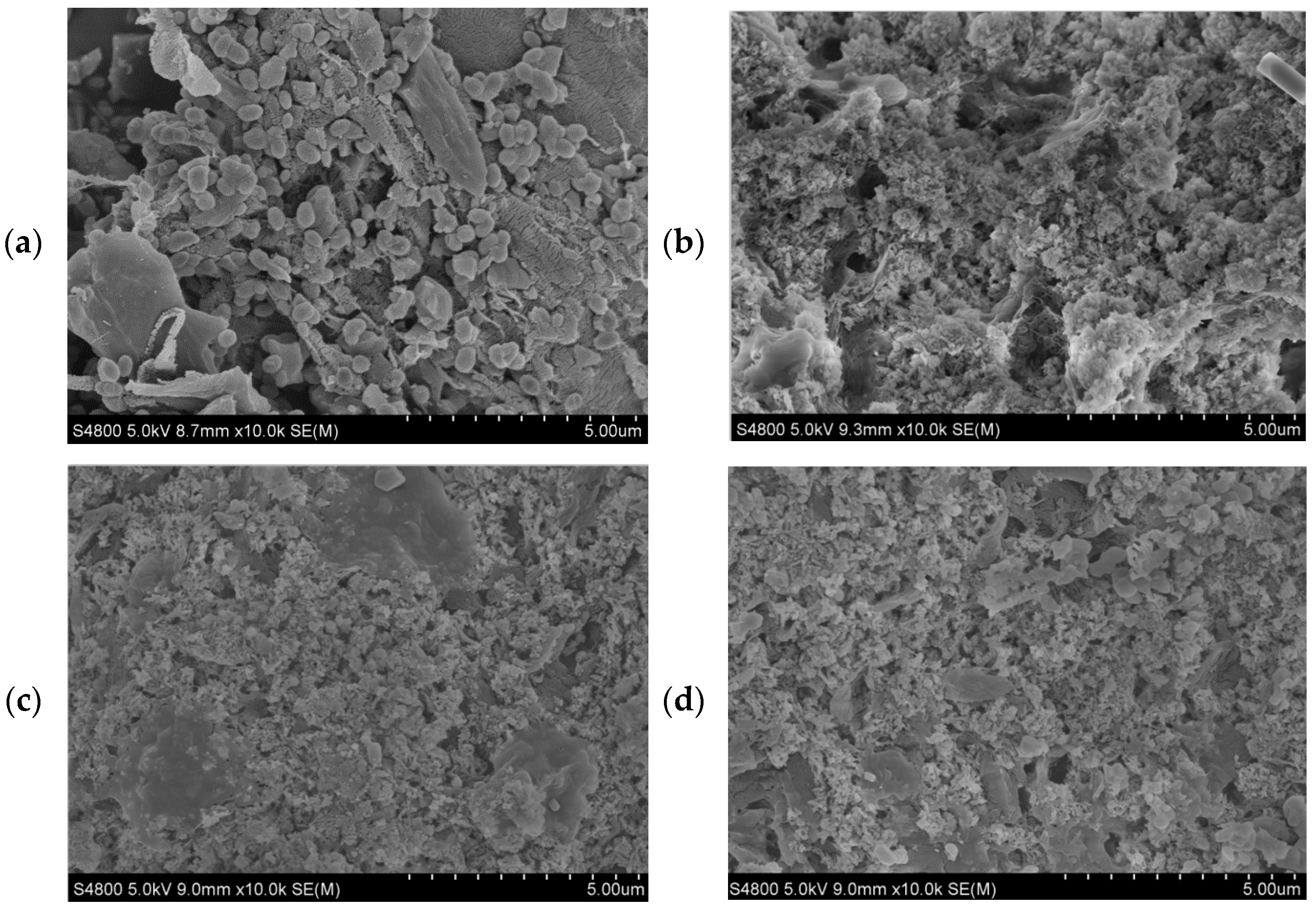 Polymers 14 01914 g005