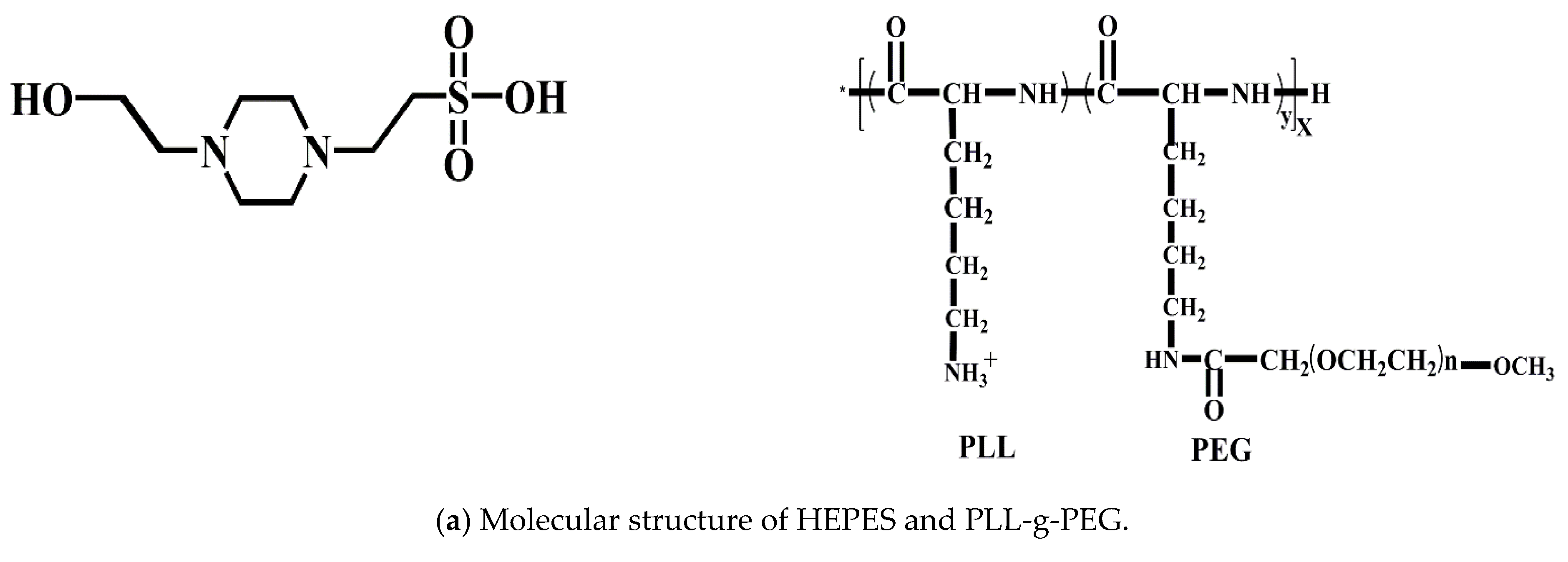 Polymers 14 01917 g001a