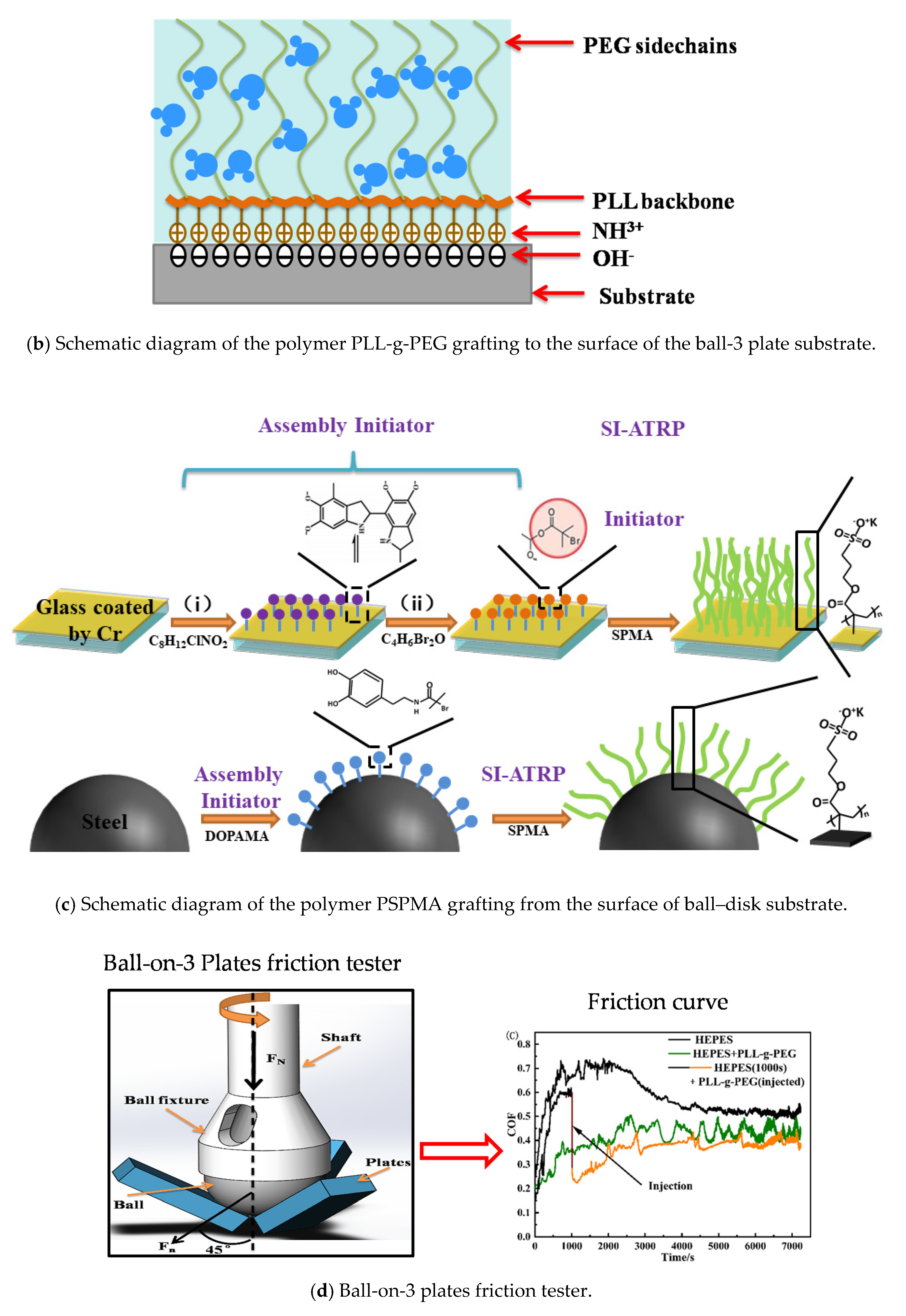 Polymers 14 01917 g001b