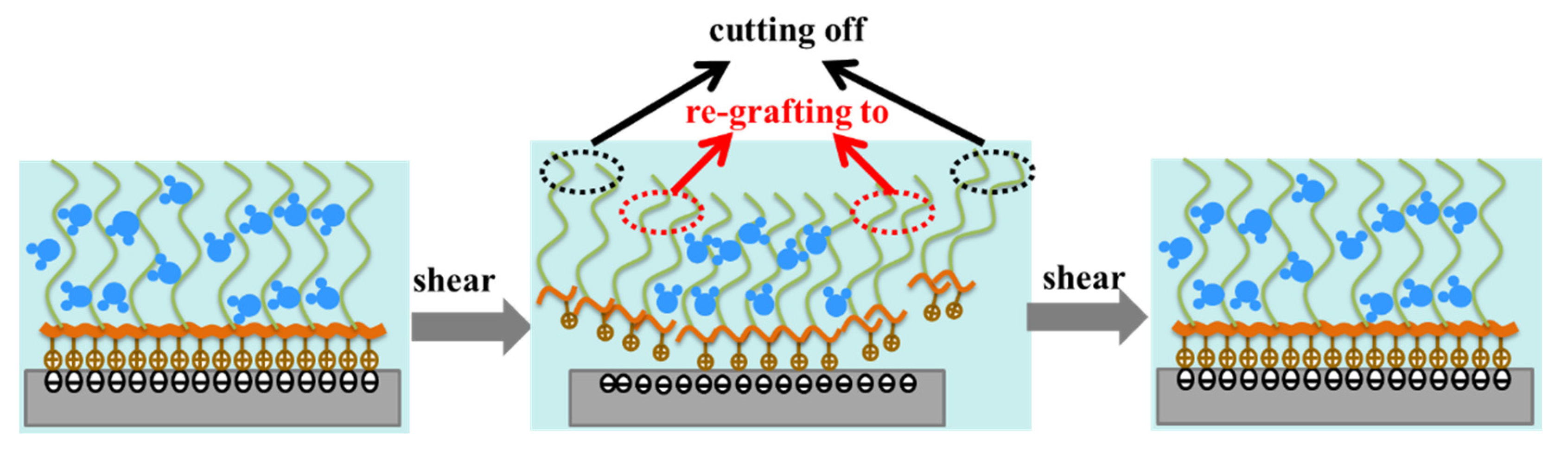 Polymers 14 01917 g006