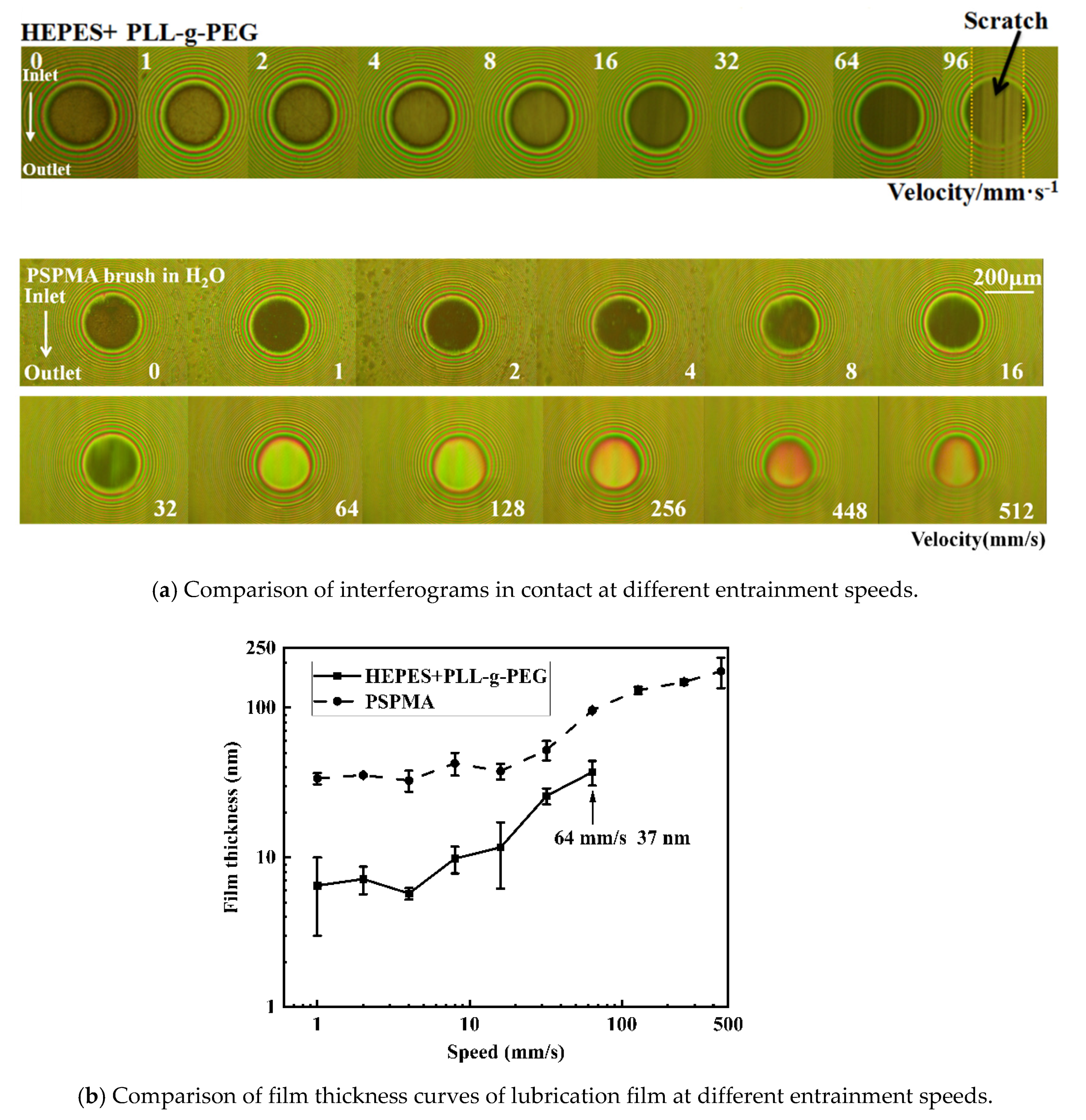 Polymers 14 01917 g007