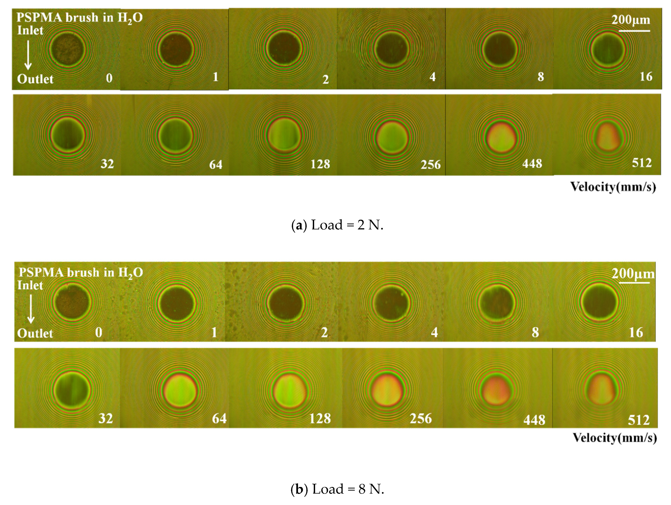 Polymers 14 01917 g008a
