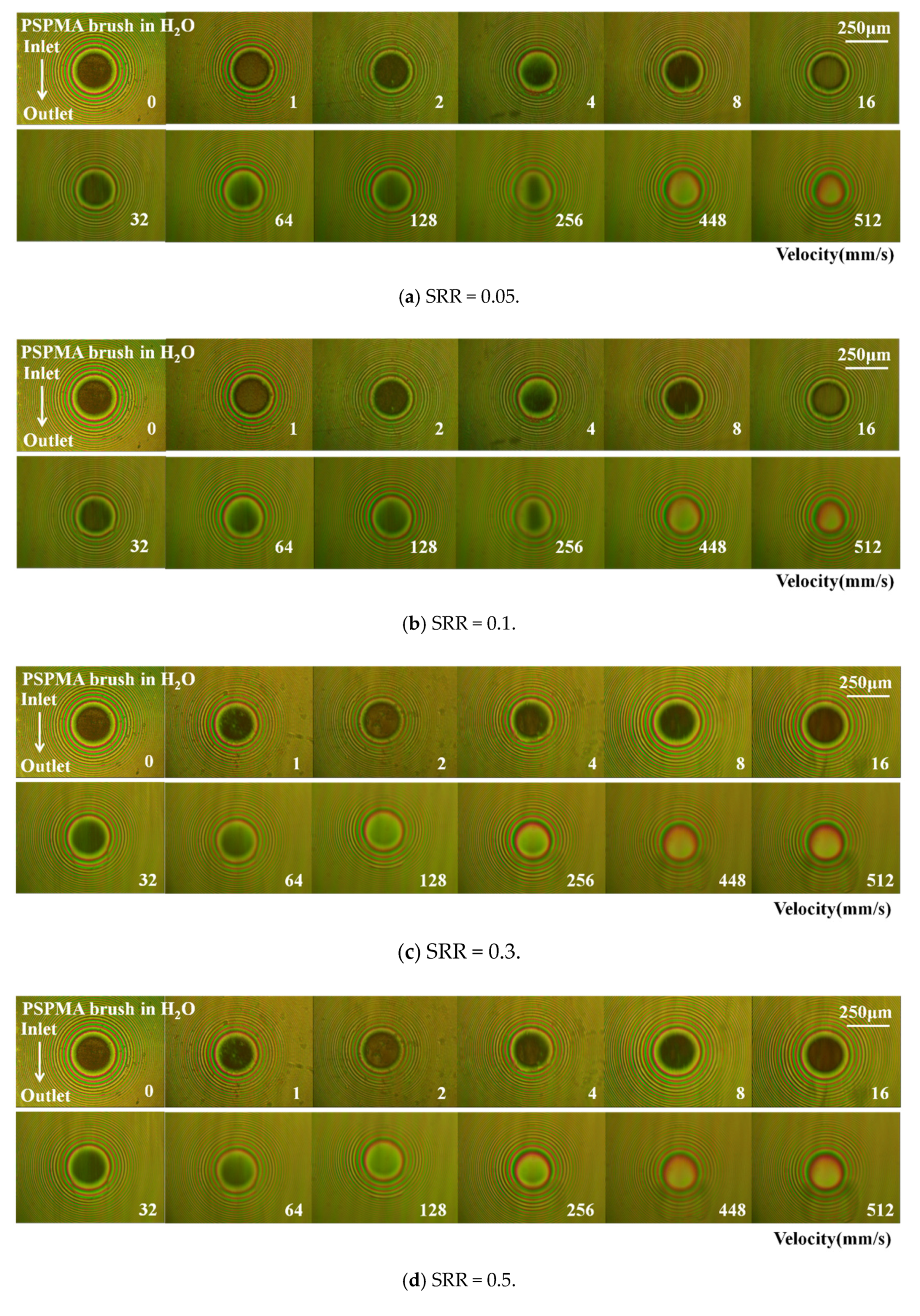 Polymers 14 01917 g009a