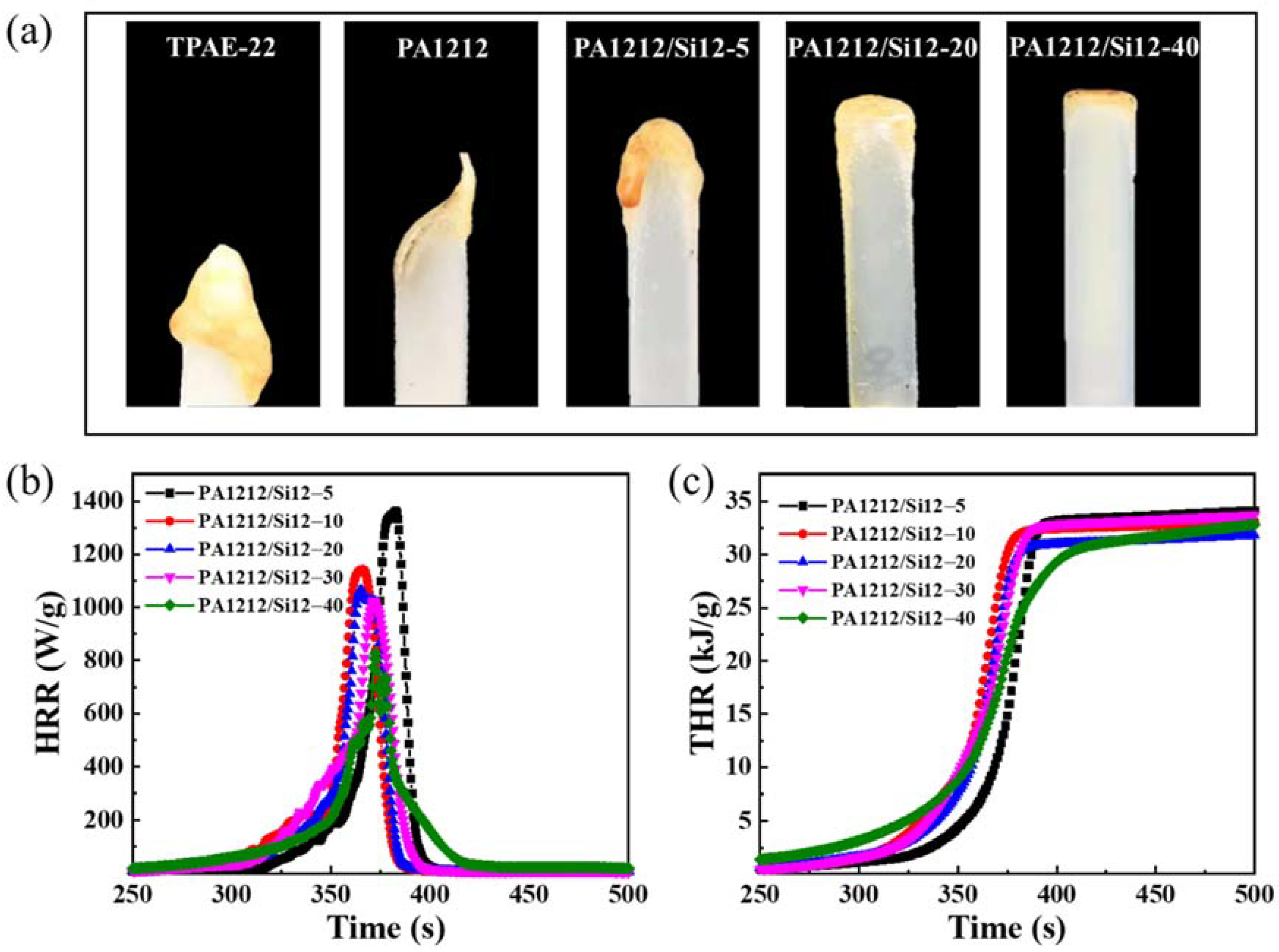 Polymers 14 01919 g005