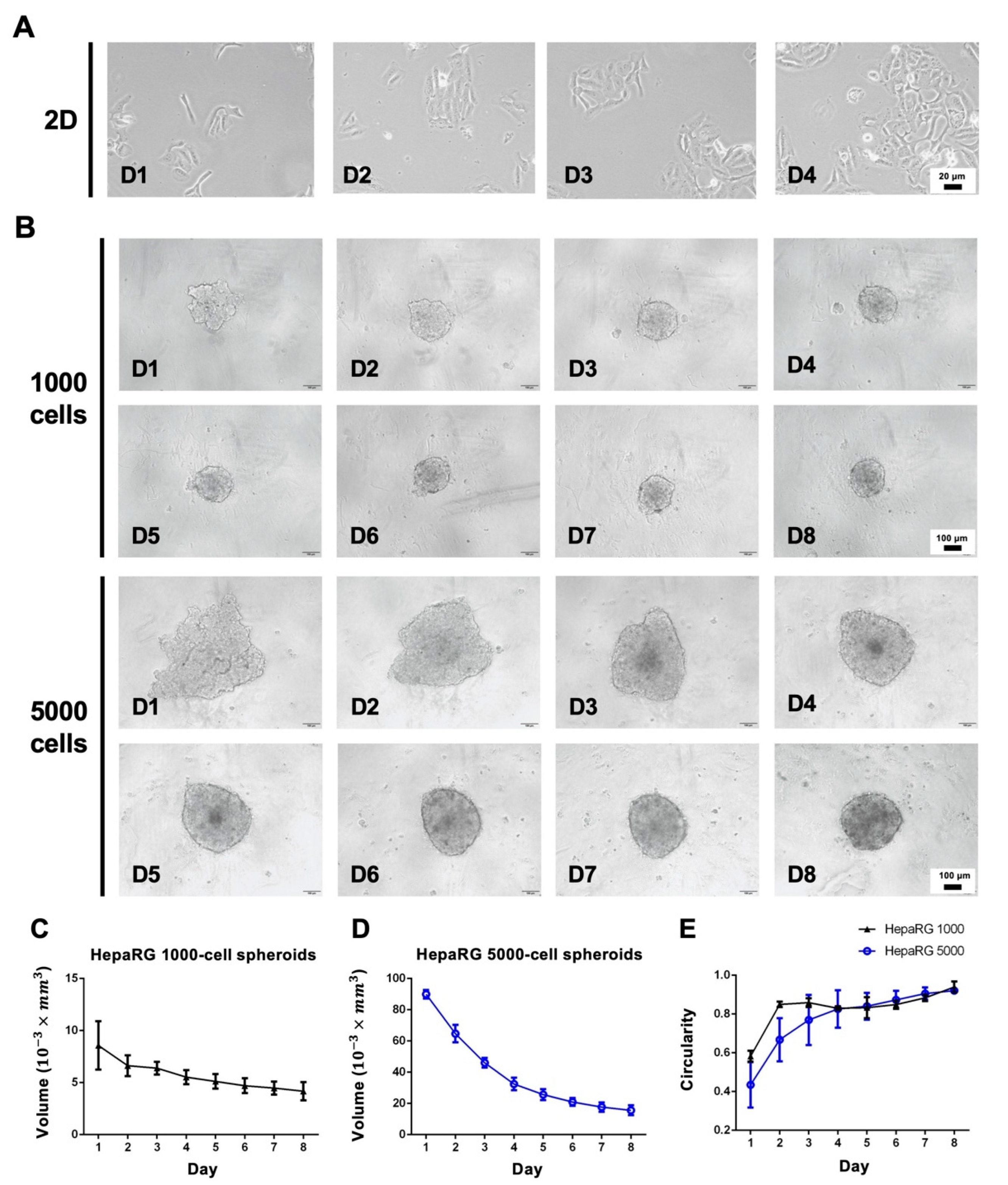 Polymers 14 01923 g001