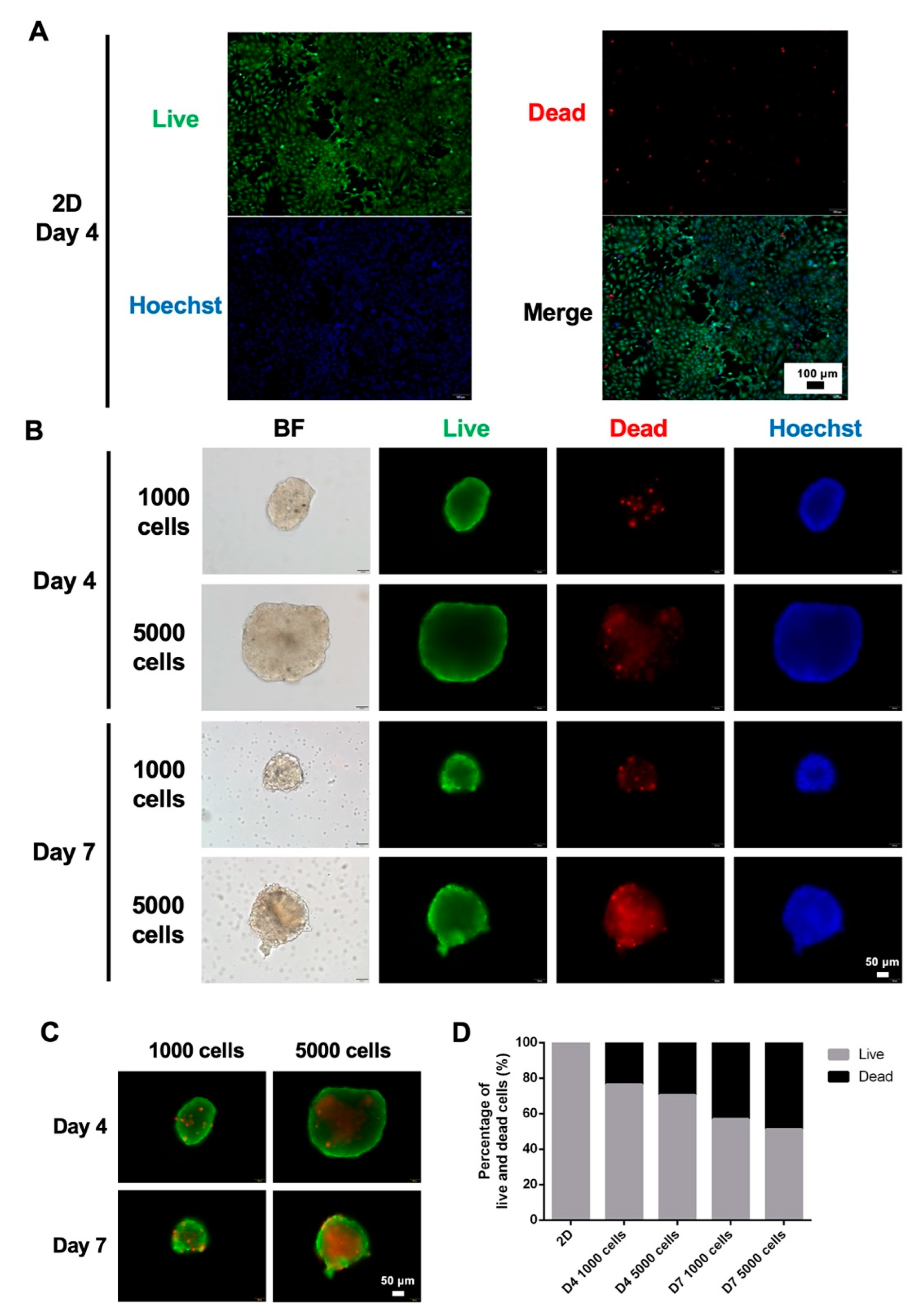Polymers 14 01923 g002