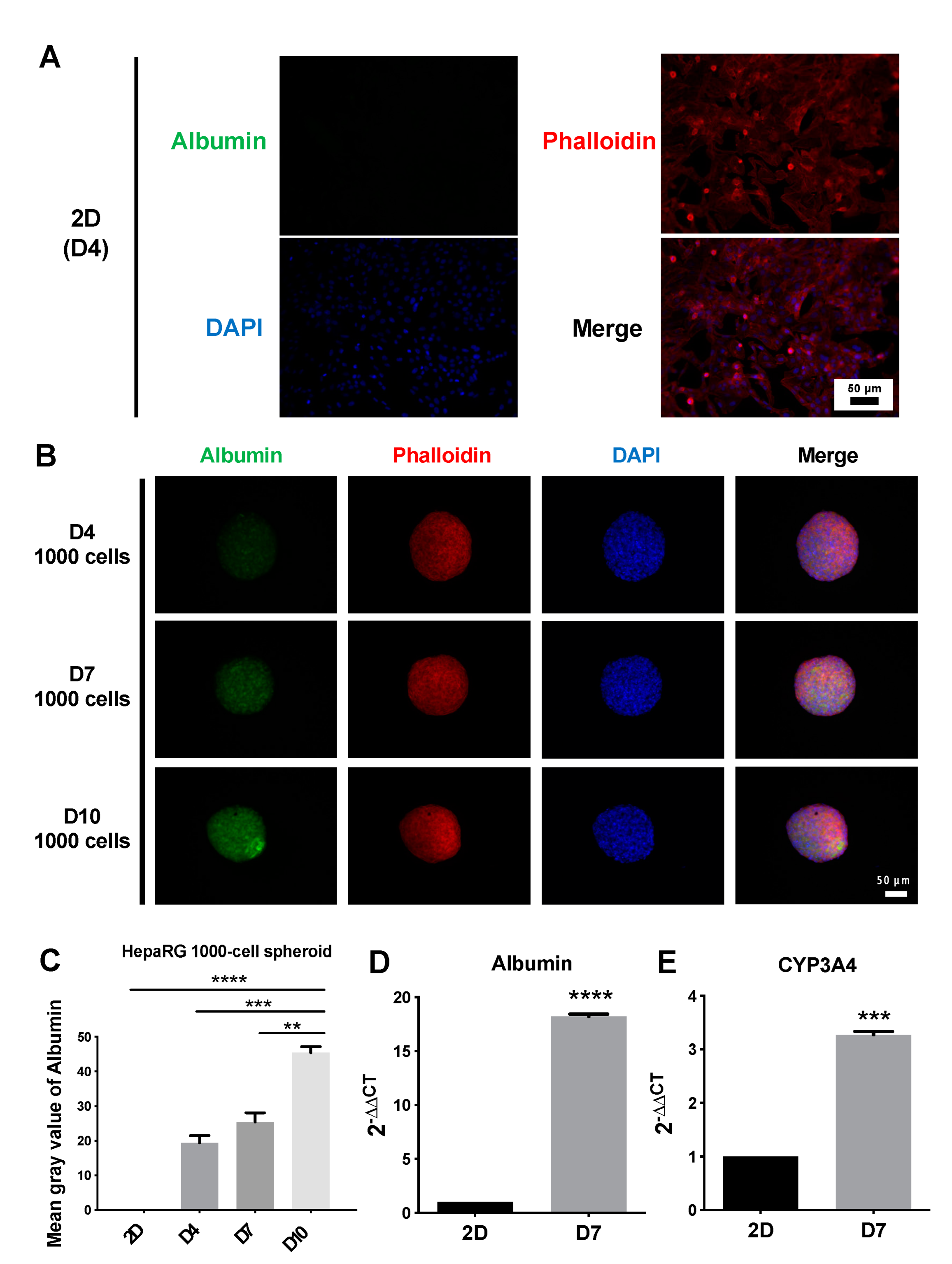 Polymers 14 01923 g003