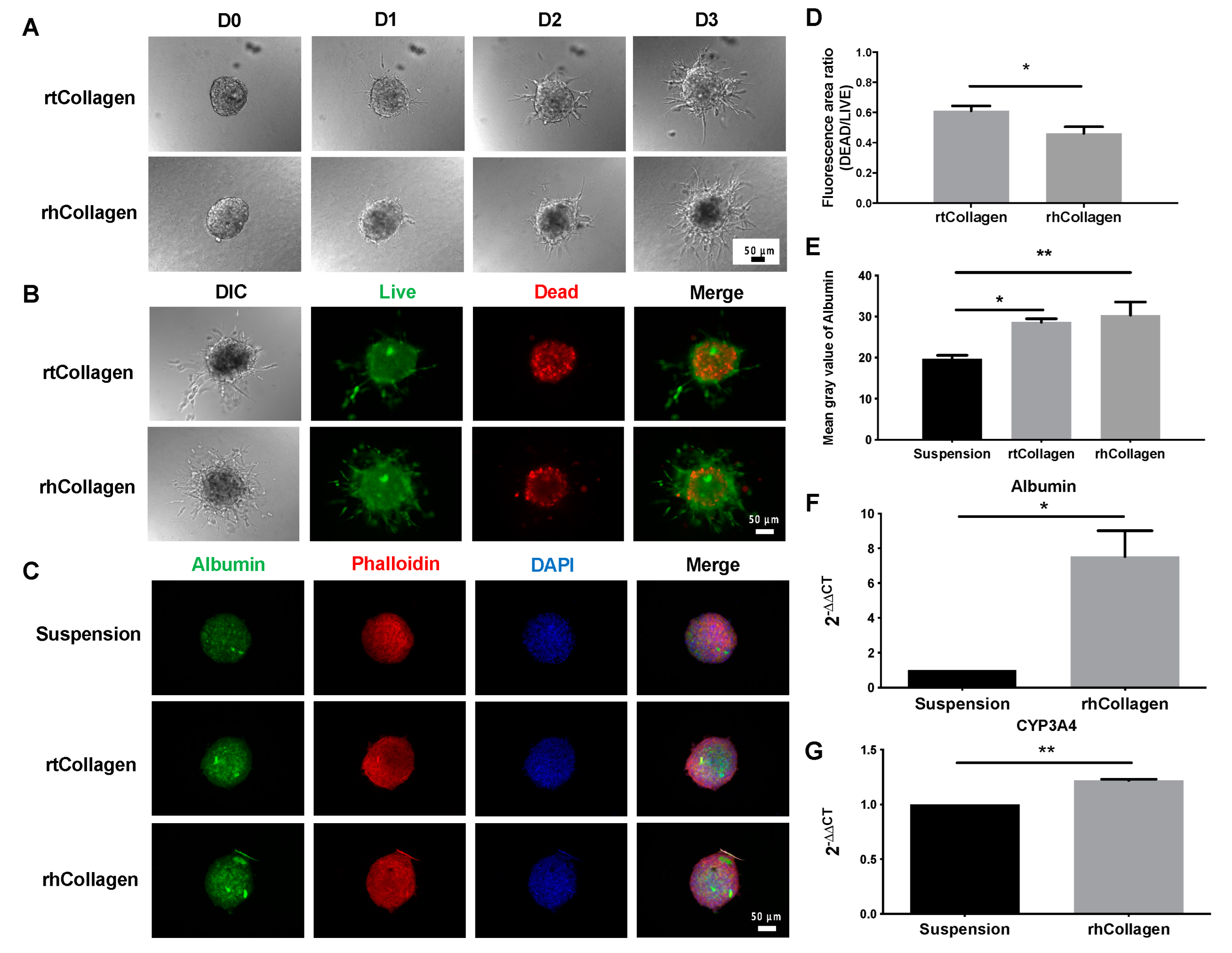 Polymers 14 01923 g004
