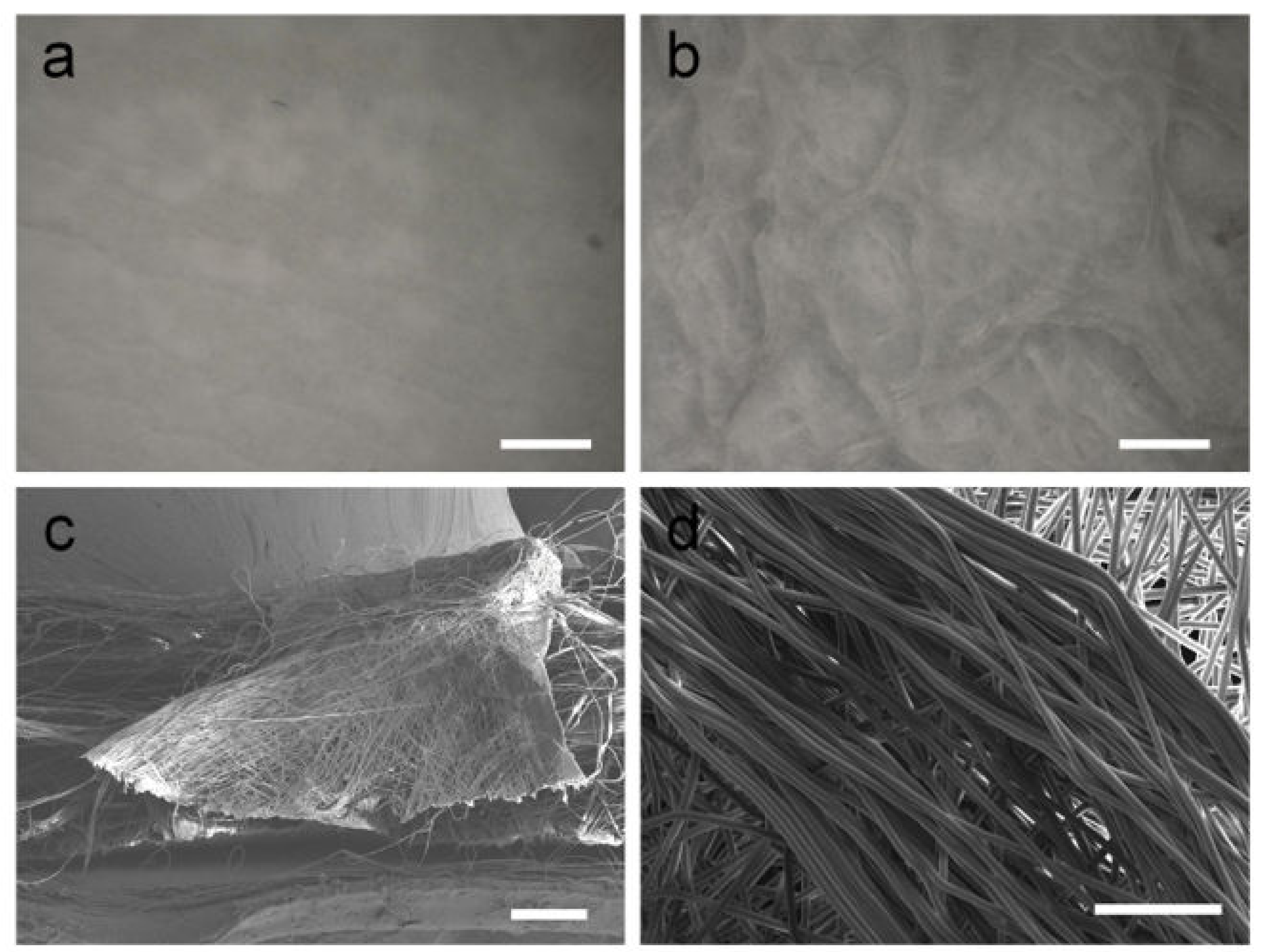 Polymers 14 01924 g001