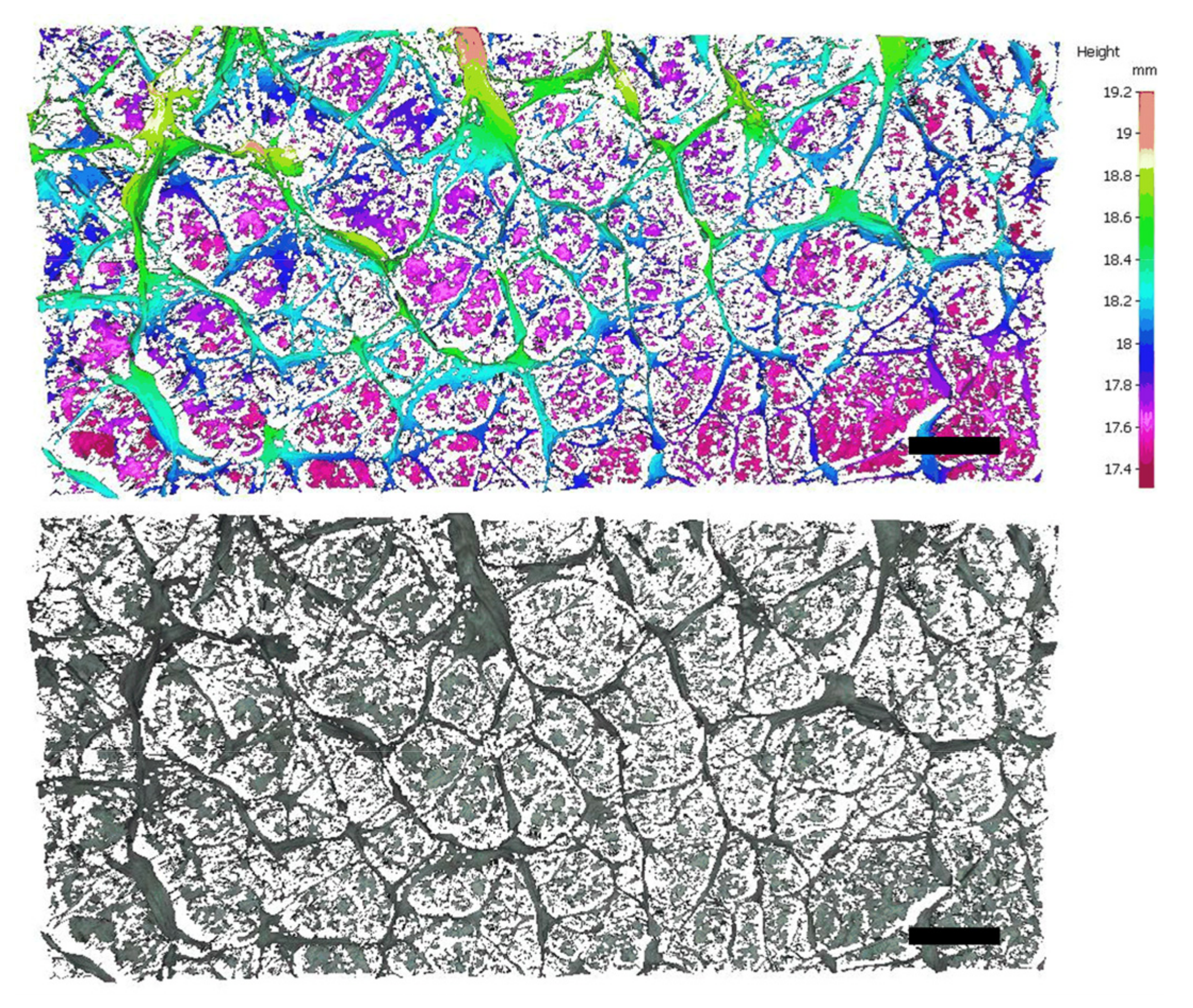 Polymers 14 01924 g002