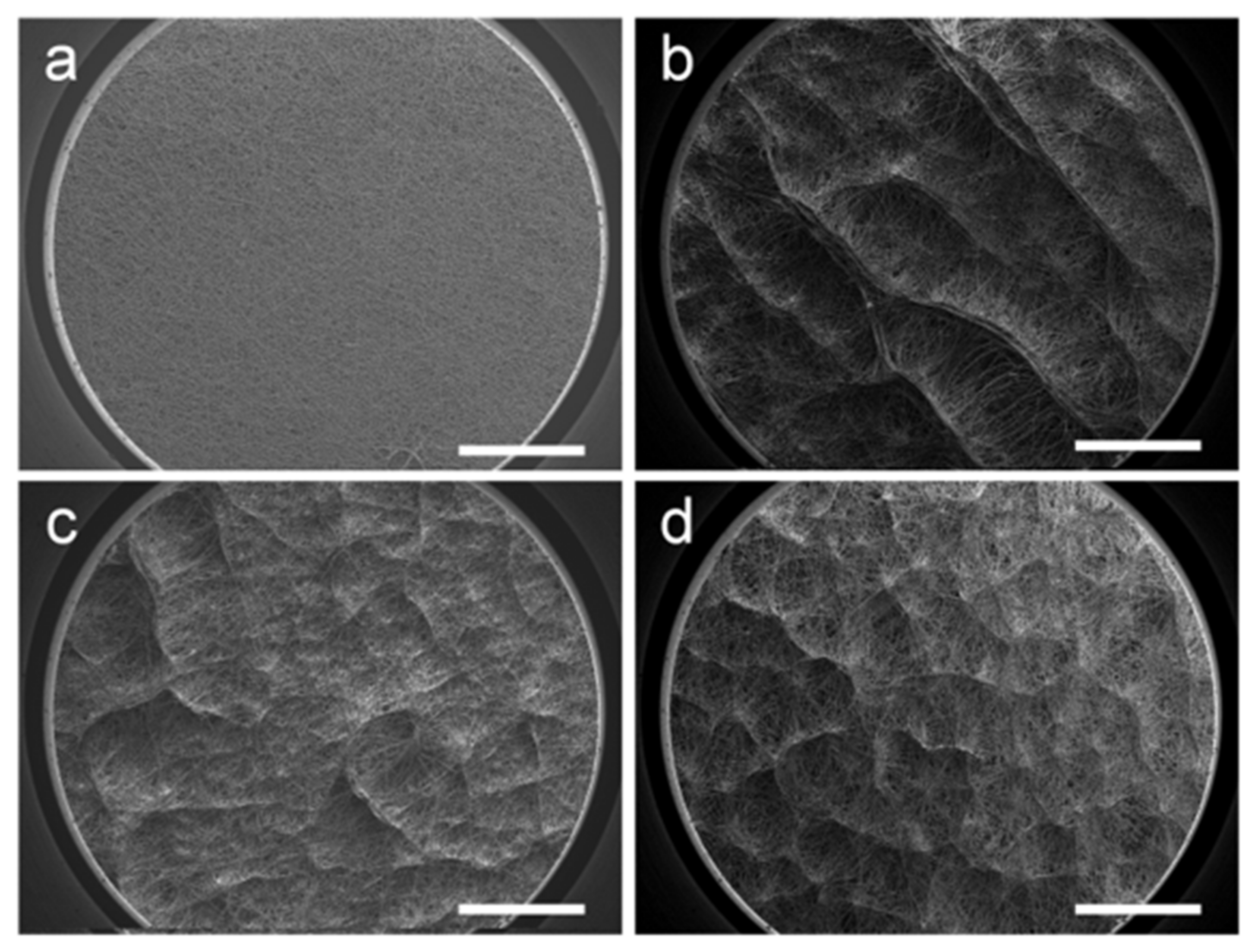Polymers 14 01924 g003