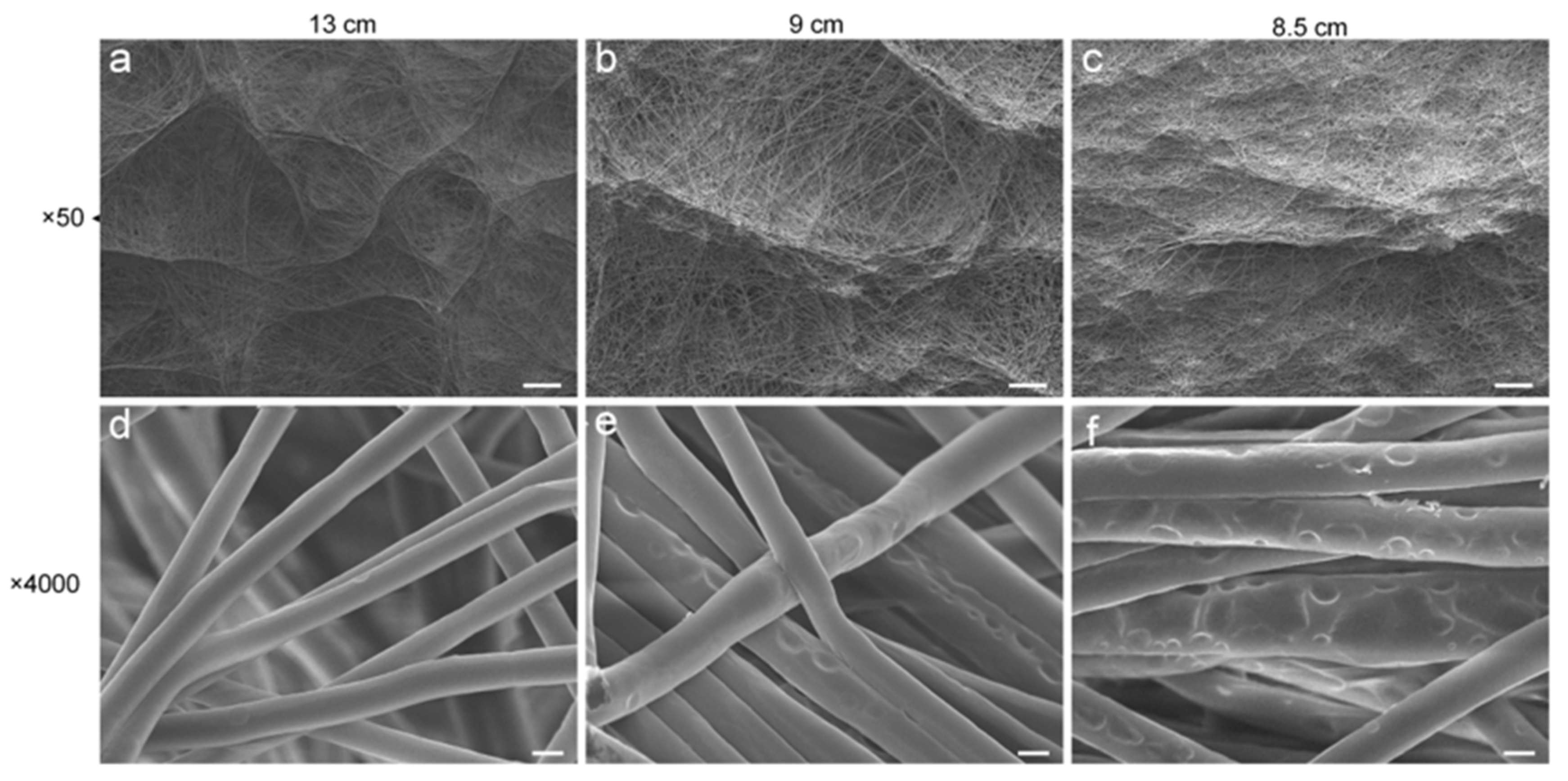 Polymers 14 01924 g005