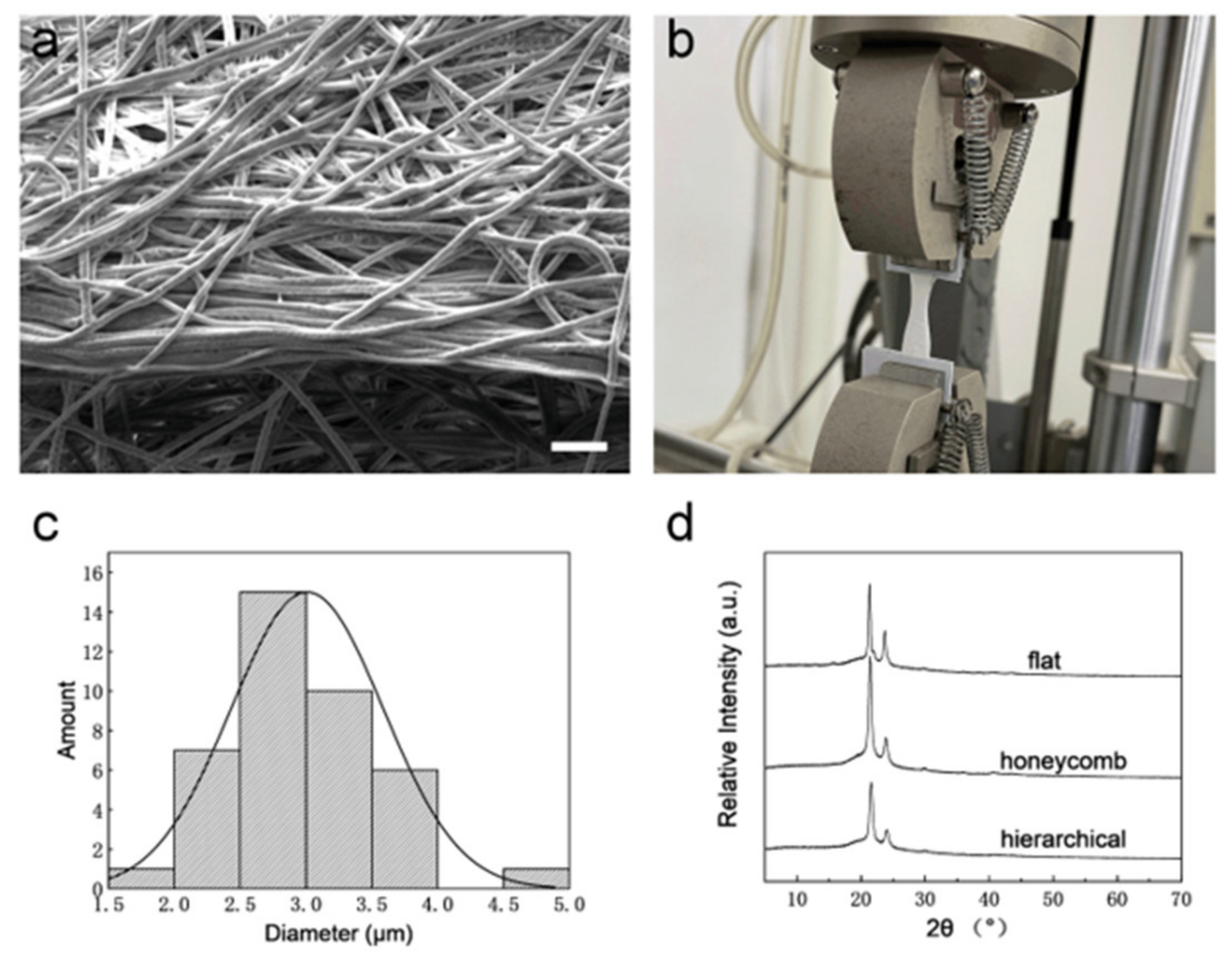 Polymers 14 01924 g006