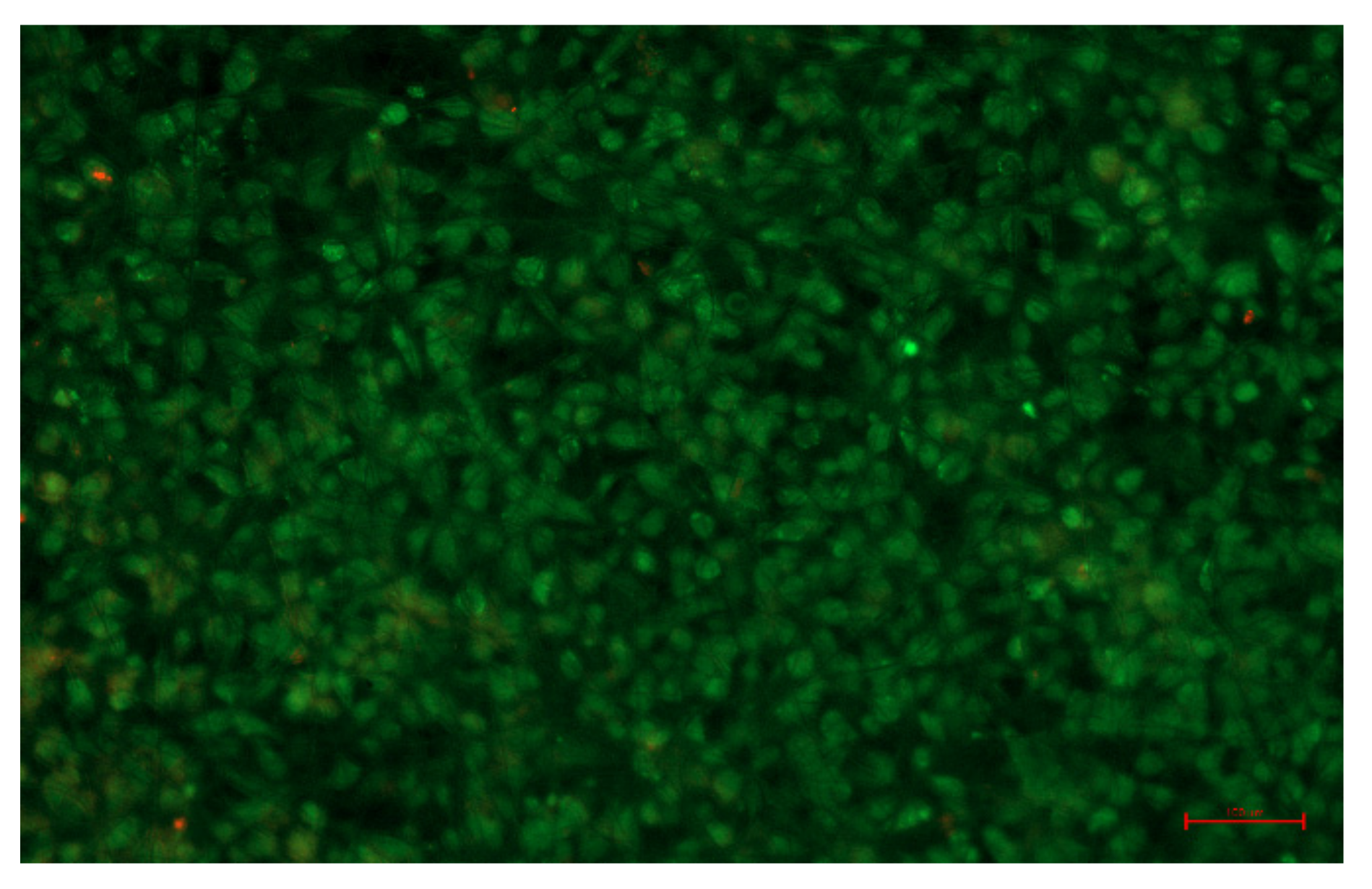 Polymers 14 01924 g007