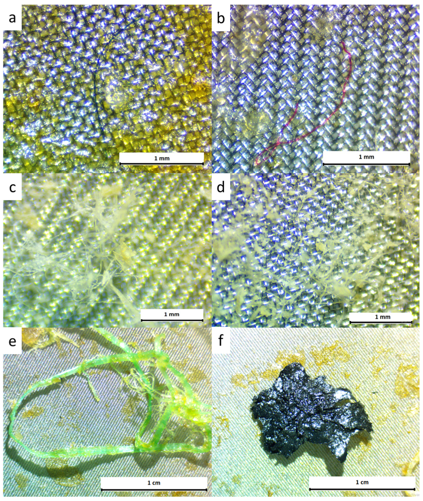 Polymers 14 01931 g002