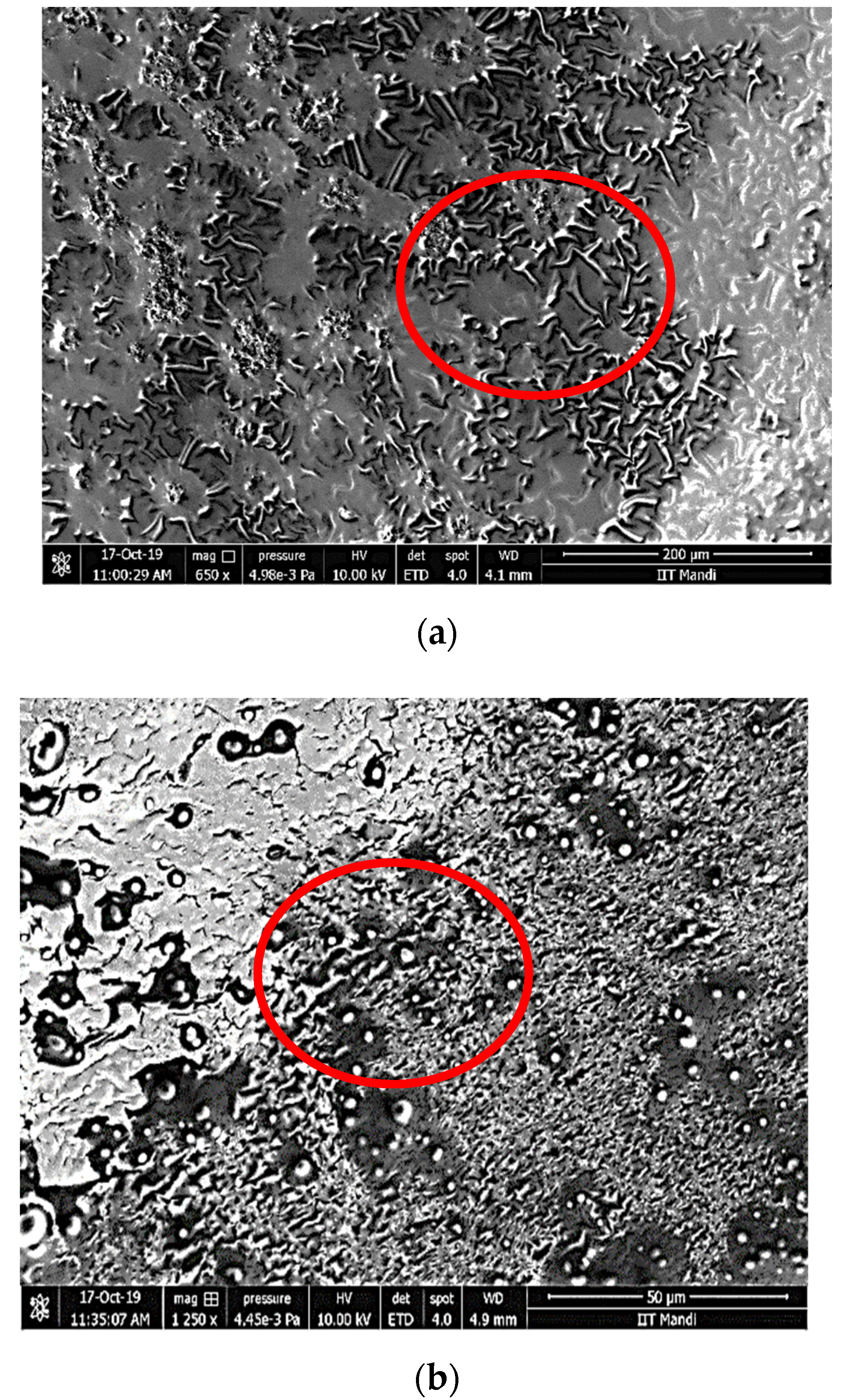 Polymers 14 01938 g003