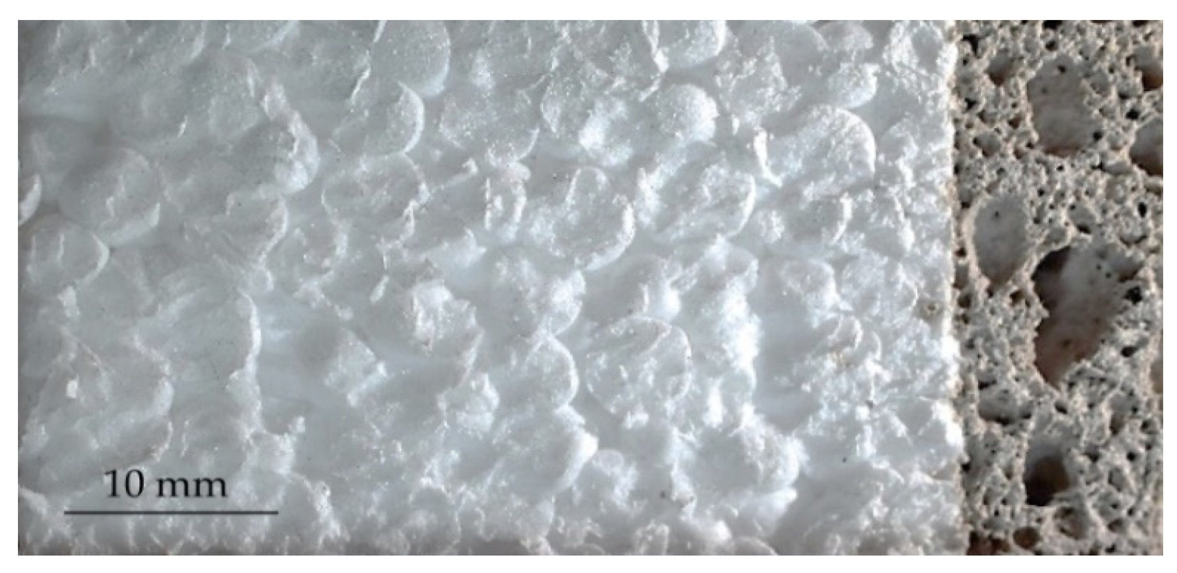 Polymers 14 01945 g008