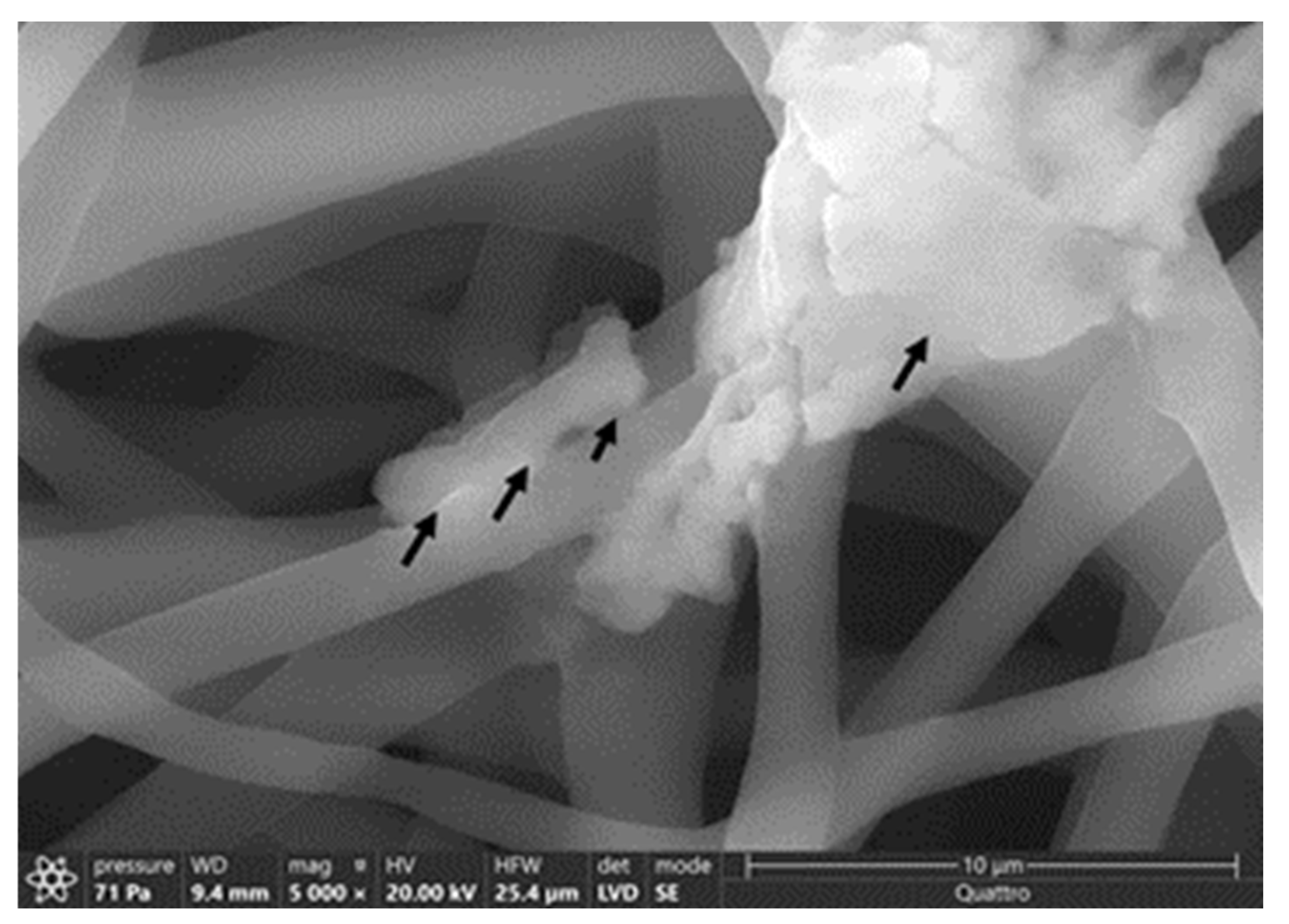 Polymers 14 01948 g011