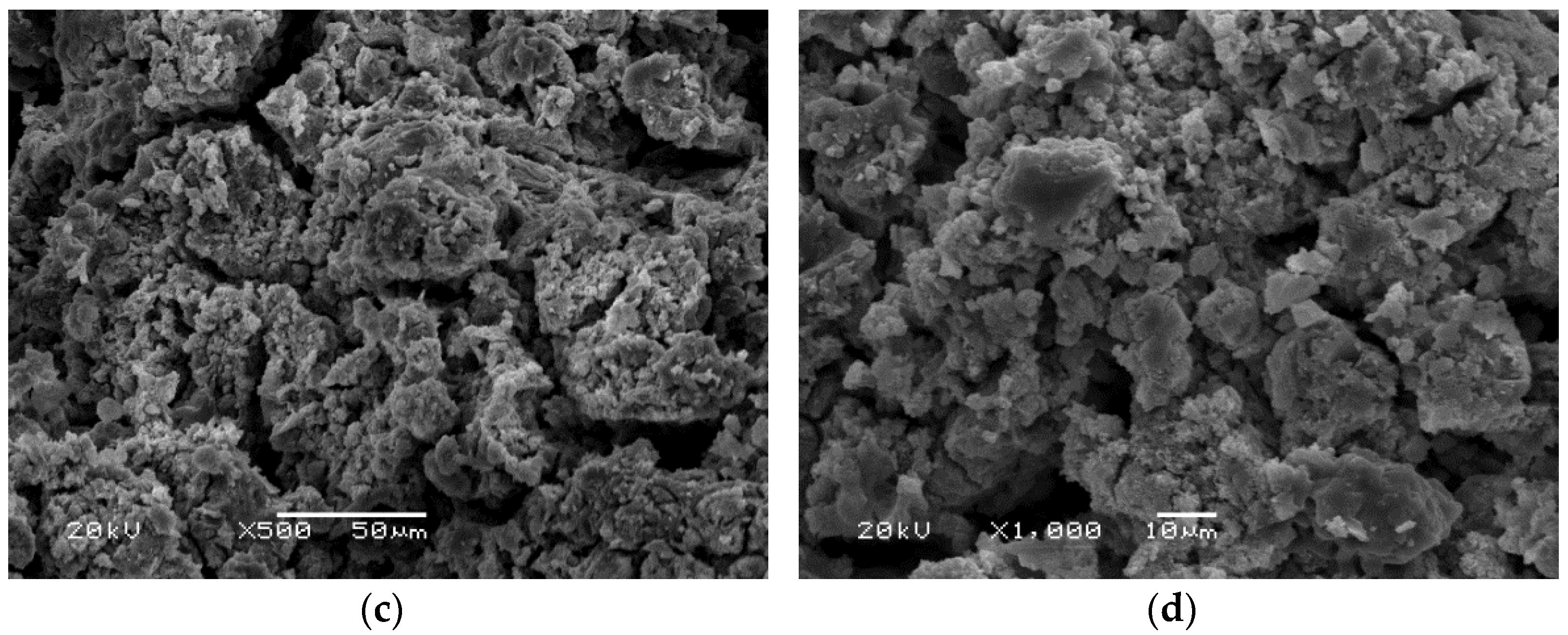 Polymers 14 01954 g006b