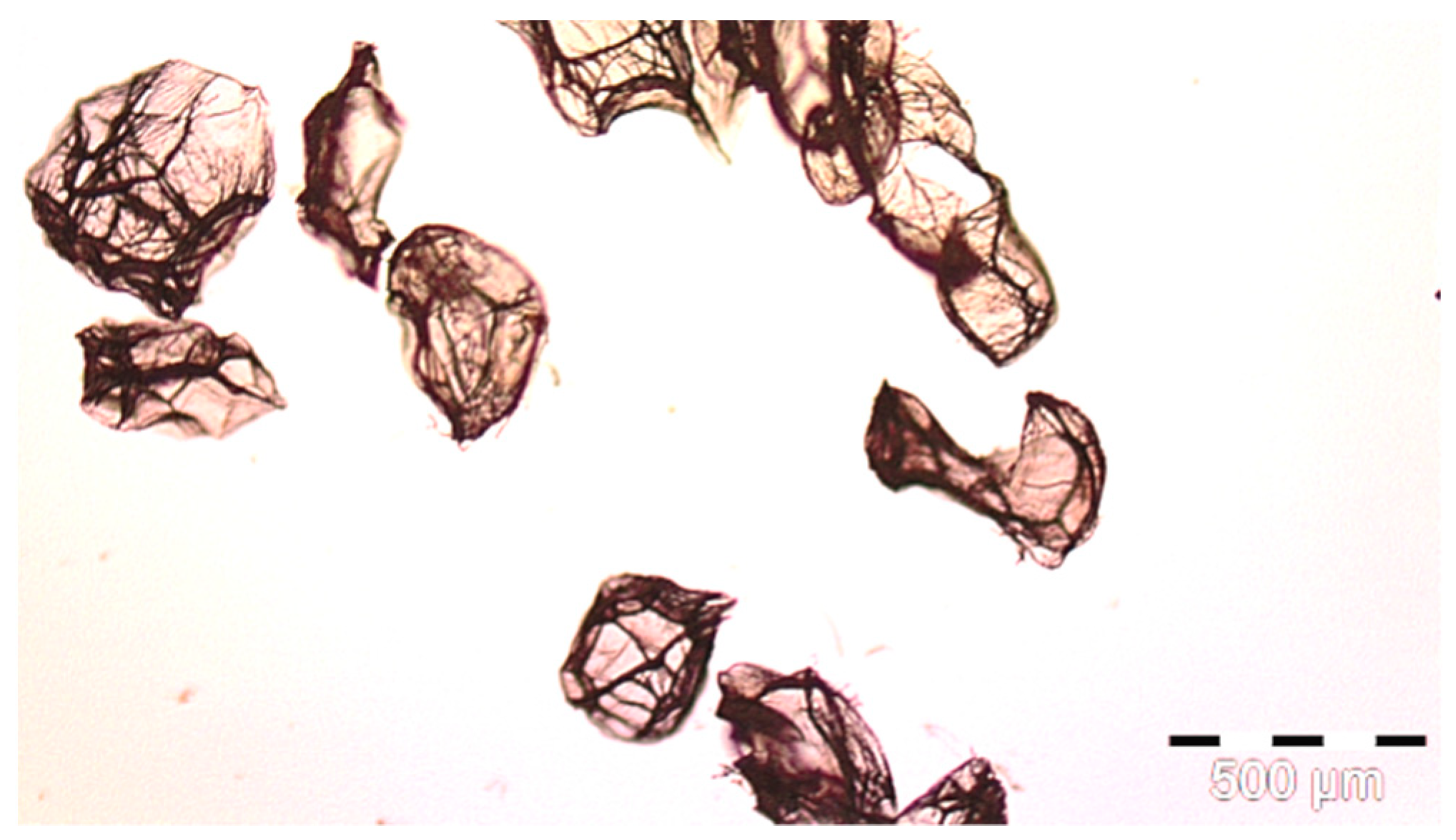 Polymers 14 01961 g002 Polymers 14 01961 g002