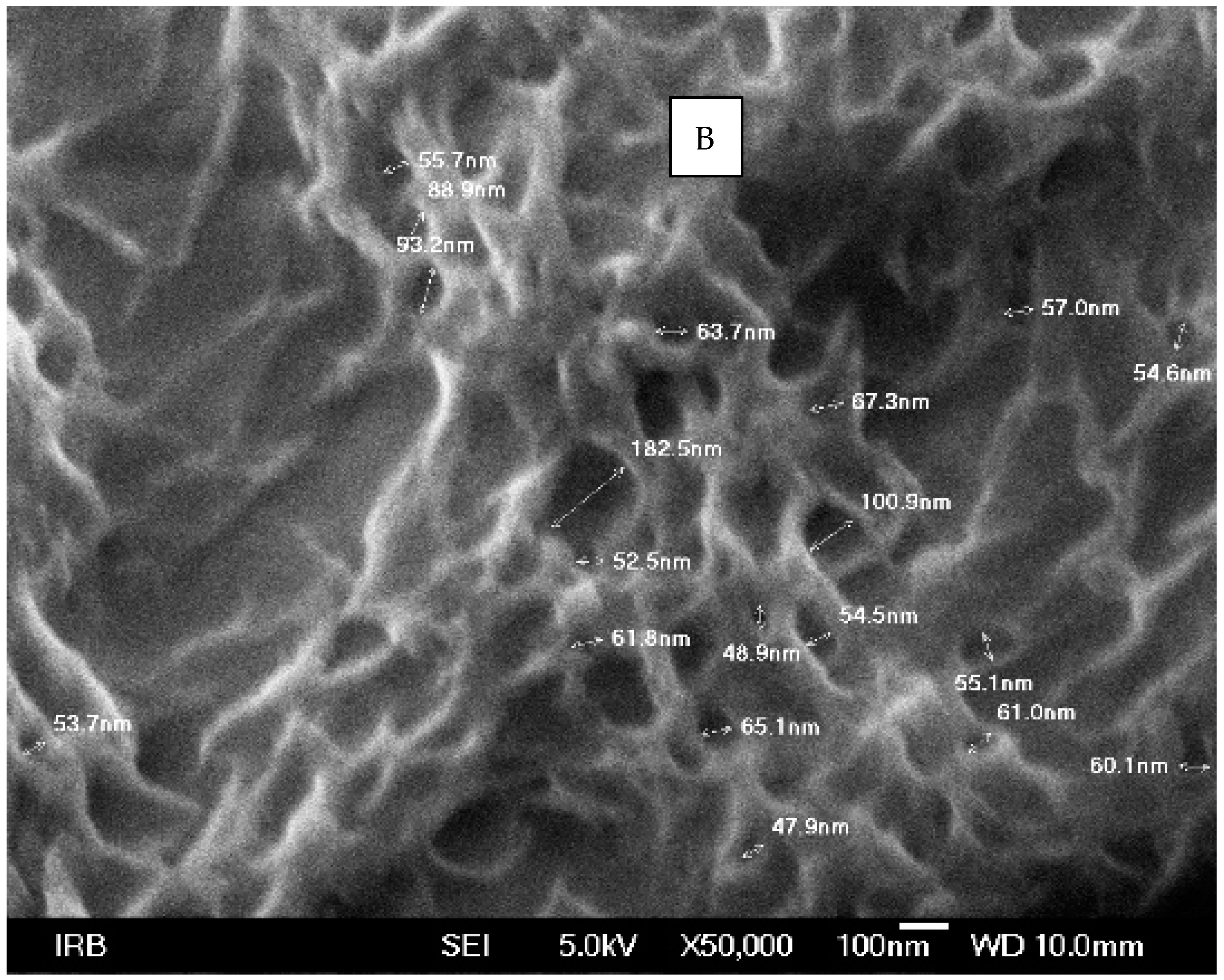 Polymers 14 01961 g003b Polymers 14 01961 g003b
