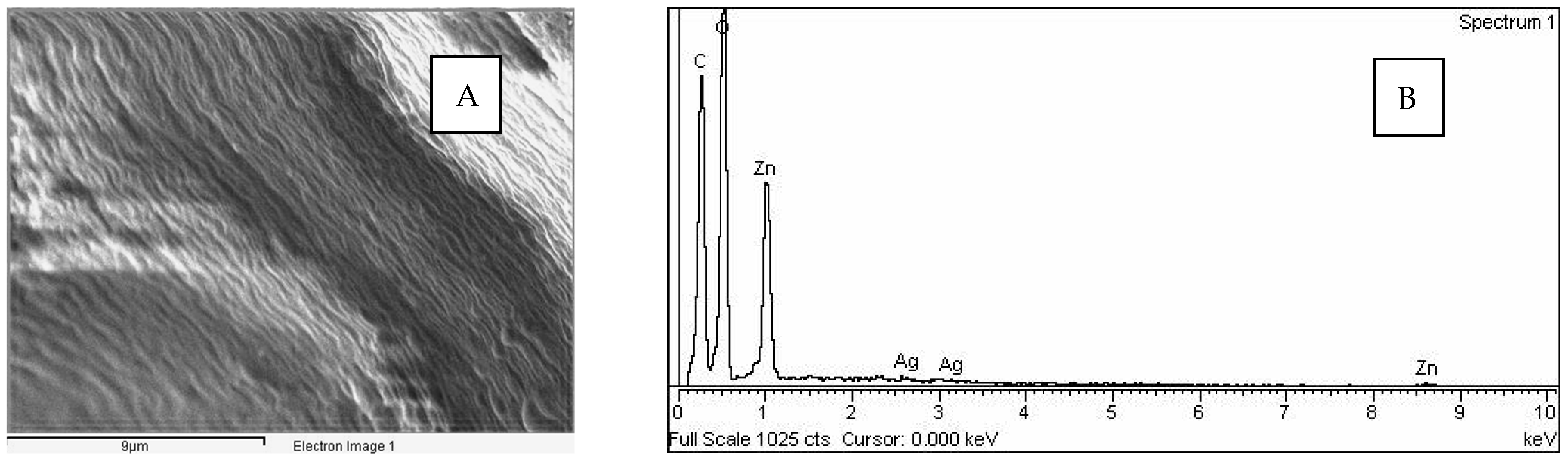 Polymers 14 01961 g004 Polymers 14 01961 g004