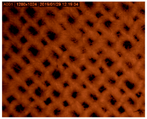 Polymers 14 01961 i001 Polymers 14 01961 i001