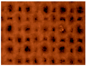 Polymers 14 01961 i002 Polymers 14 01961 i002