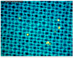 Polymers 14 01961 i004 Polymers 14 01961 i004