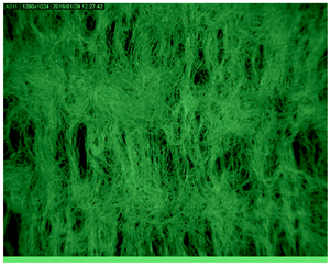 Polymers 14 01961 i005 Polymers 14 01961 i005