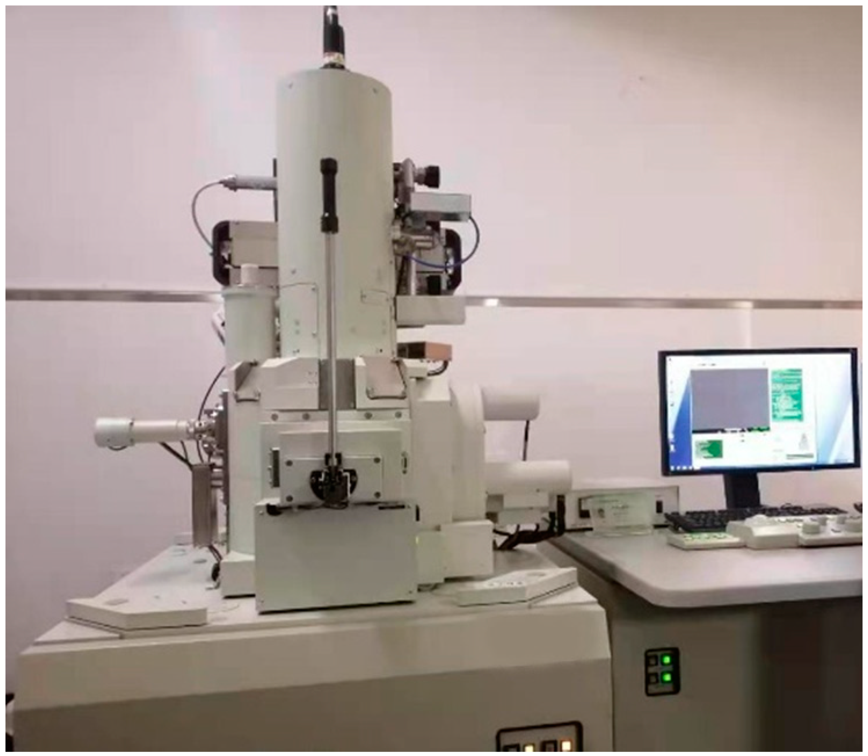 Polymers 14 01969 g004