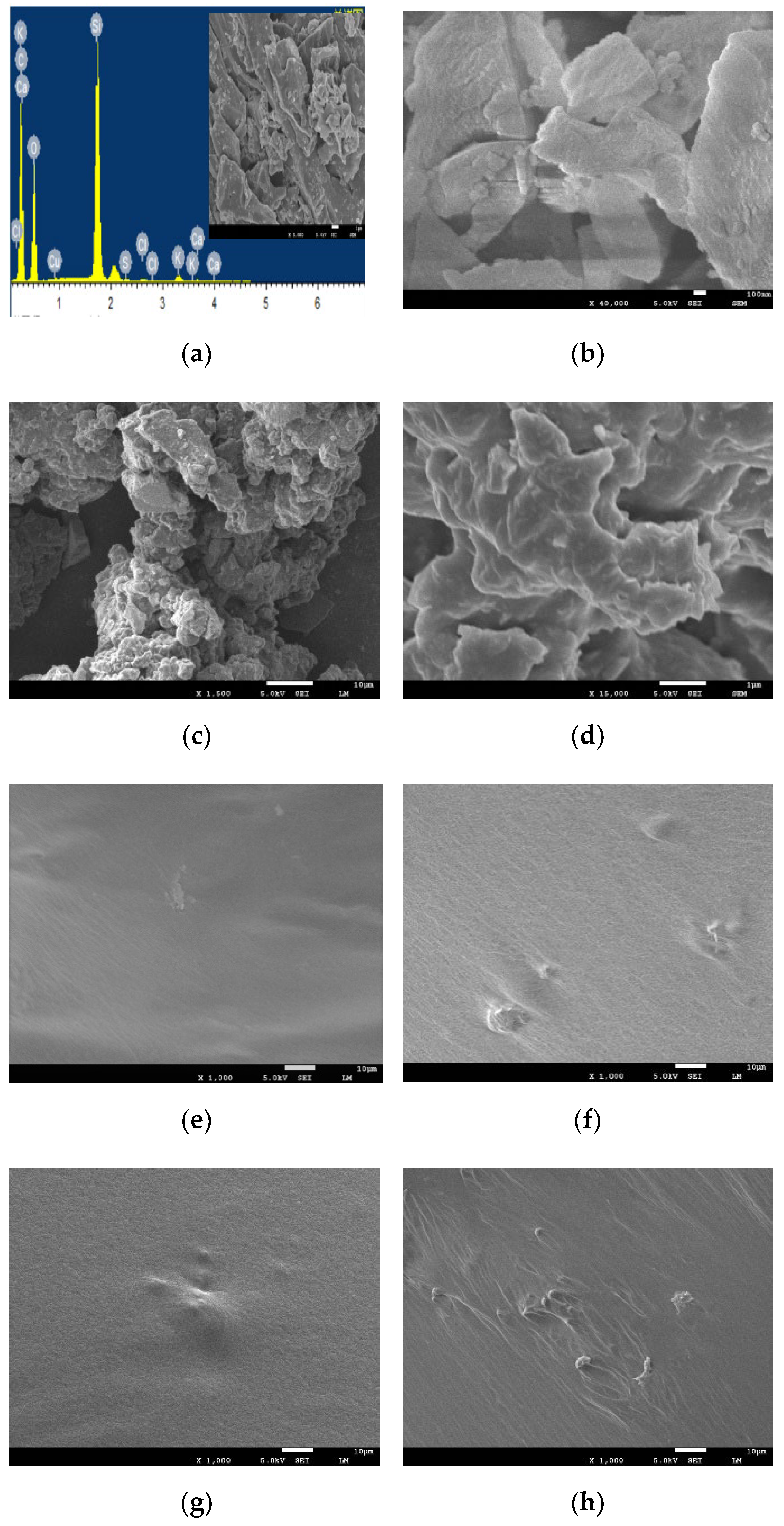 Polymers 14 01969 g014a