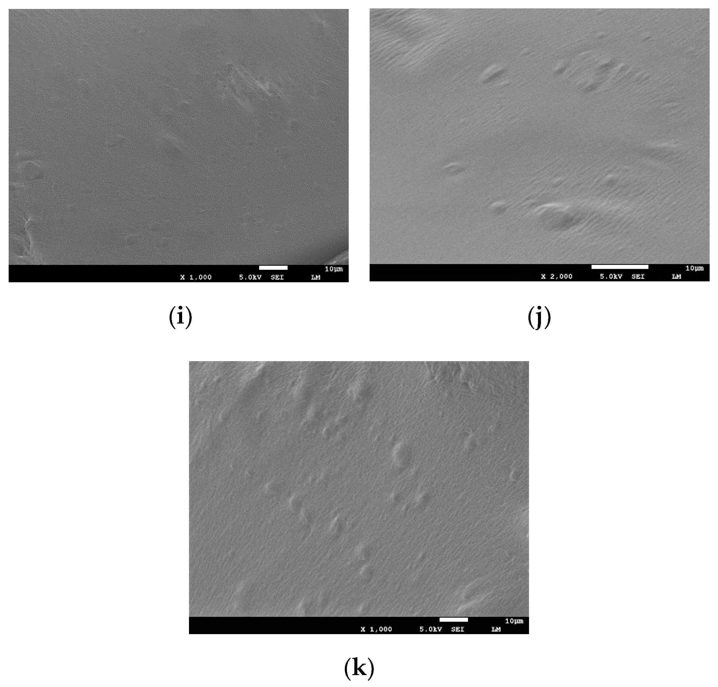 Polymers 14 01969 g014b