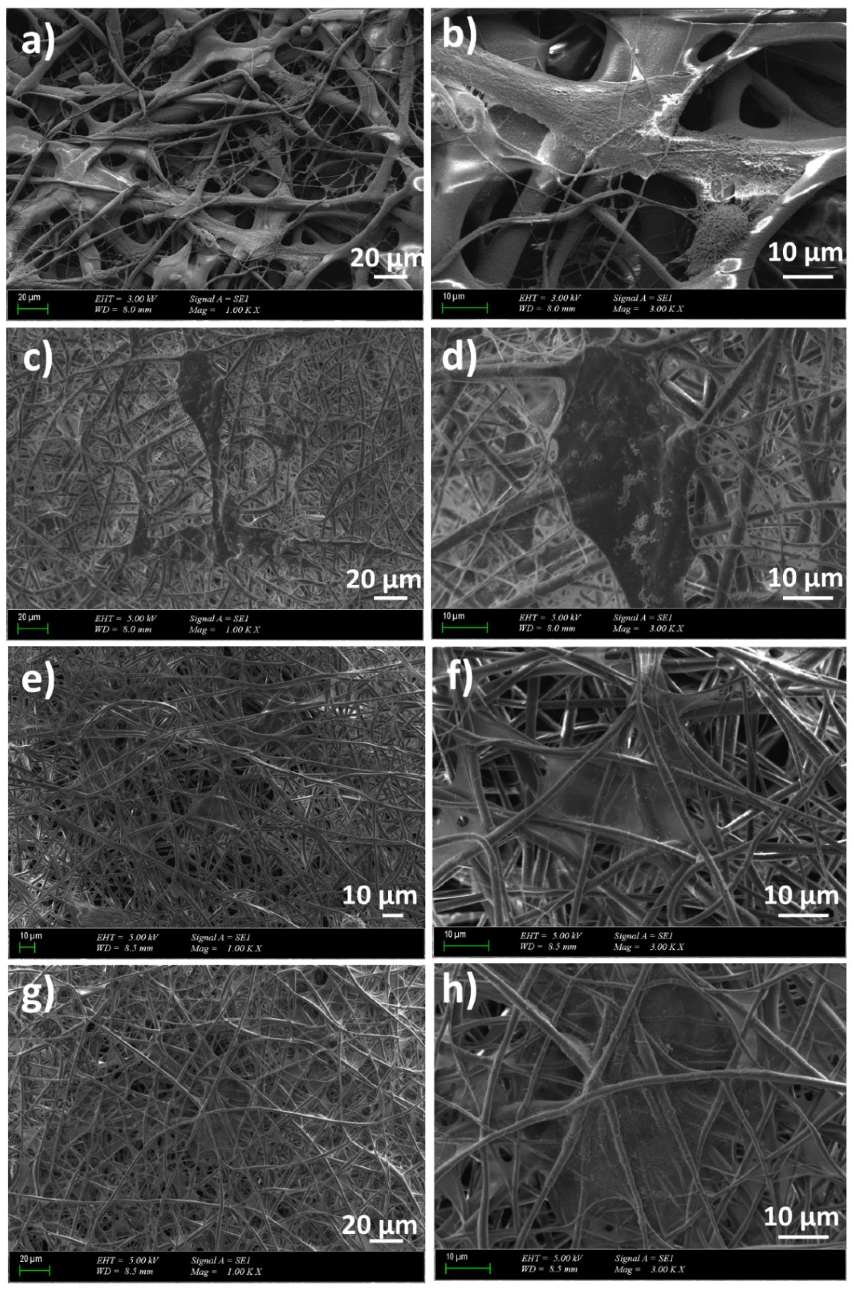 Polymers 14 01971 g008