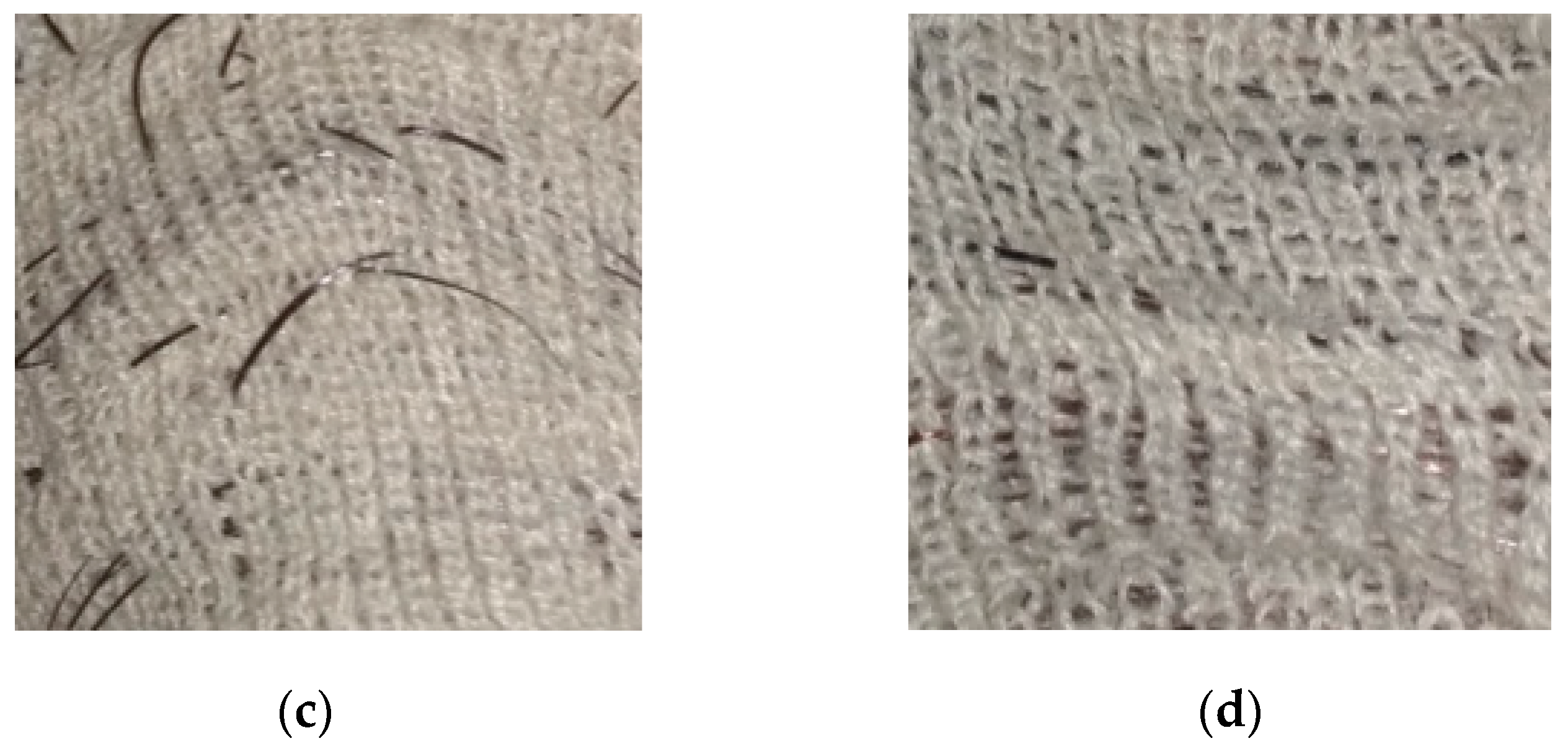 Polymers 14 01972 g003b